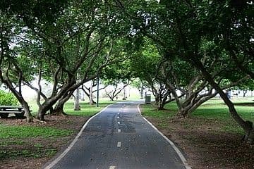 5/171 Dickward Drive, Coconut Grove NT 0810, Coconut Grove - Thumbnail 7