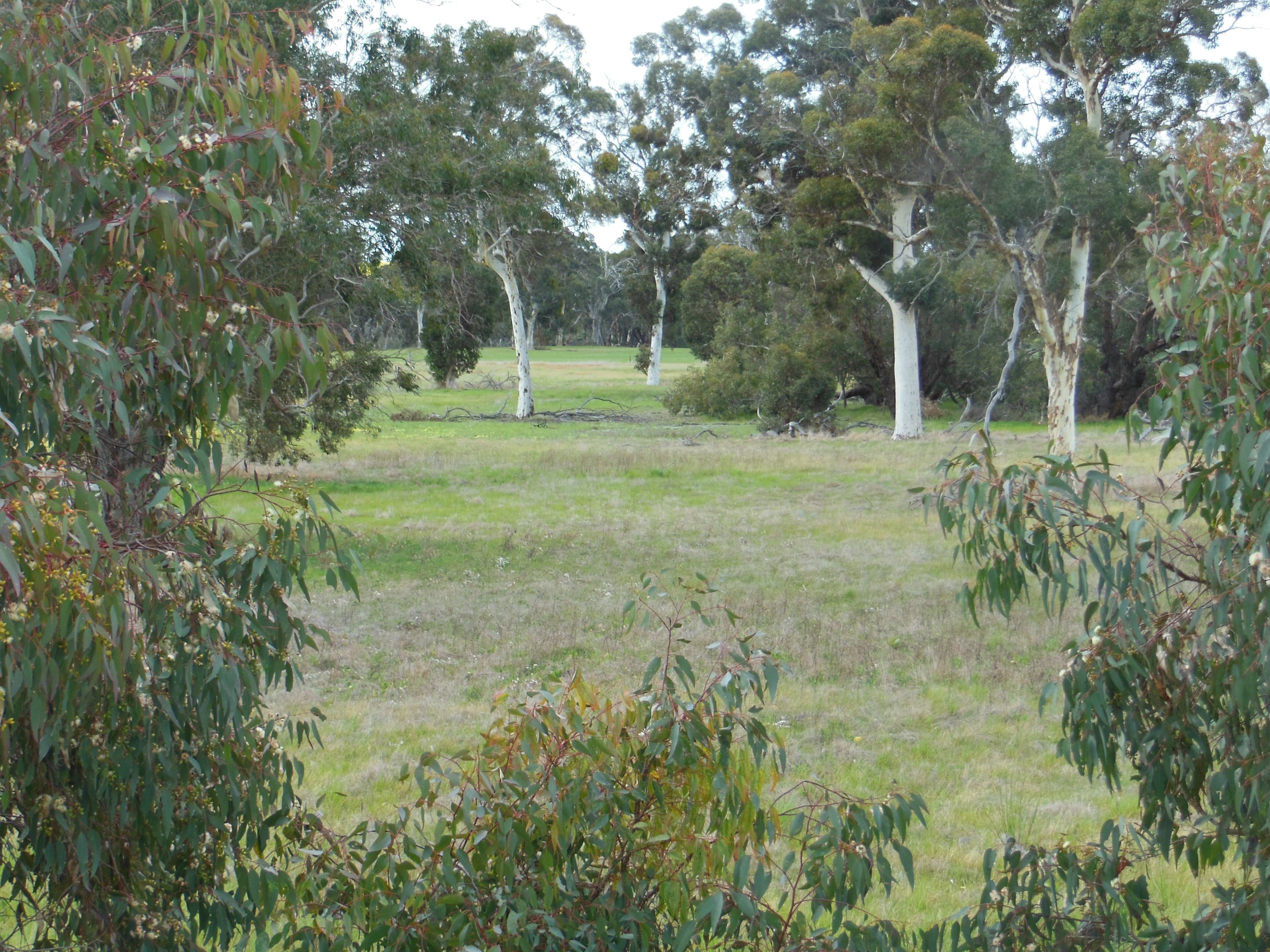Uannup Road, CRANBROOK WA 6321, Cranbrook - Thumbnail 4