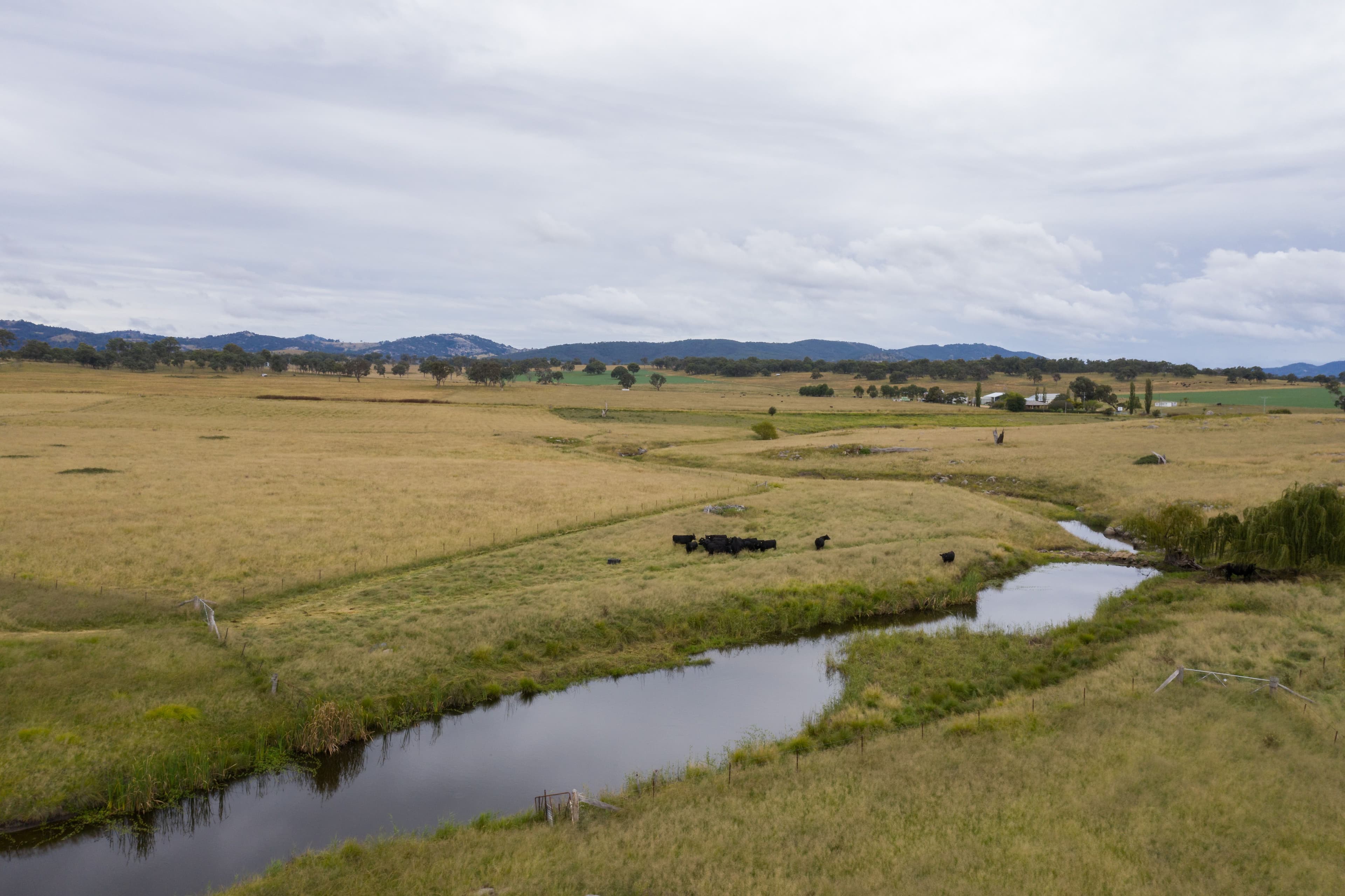 1158 Bruxner Highway, Tenterfield NSW 2372, Tenterfield - Thumbnail 2