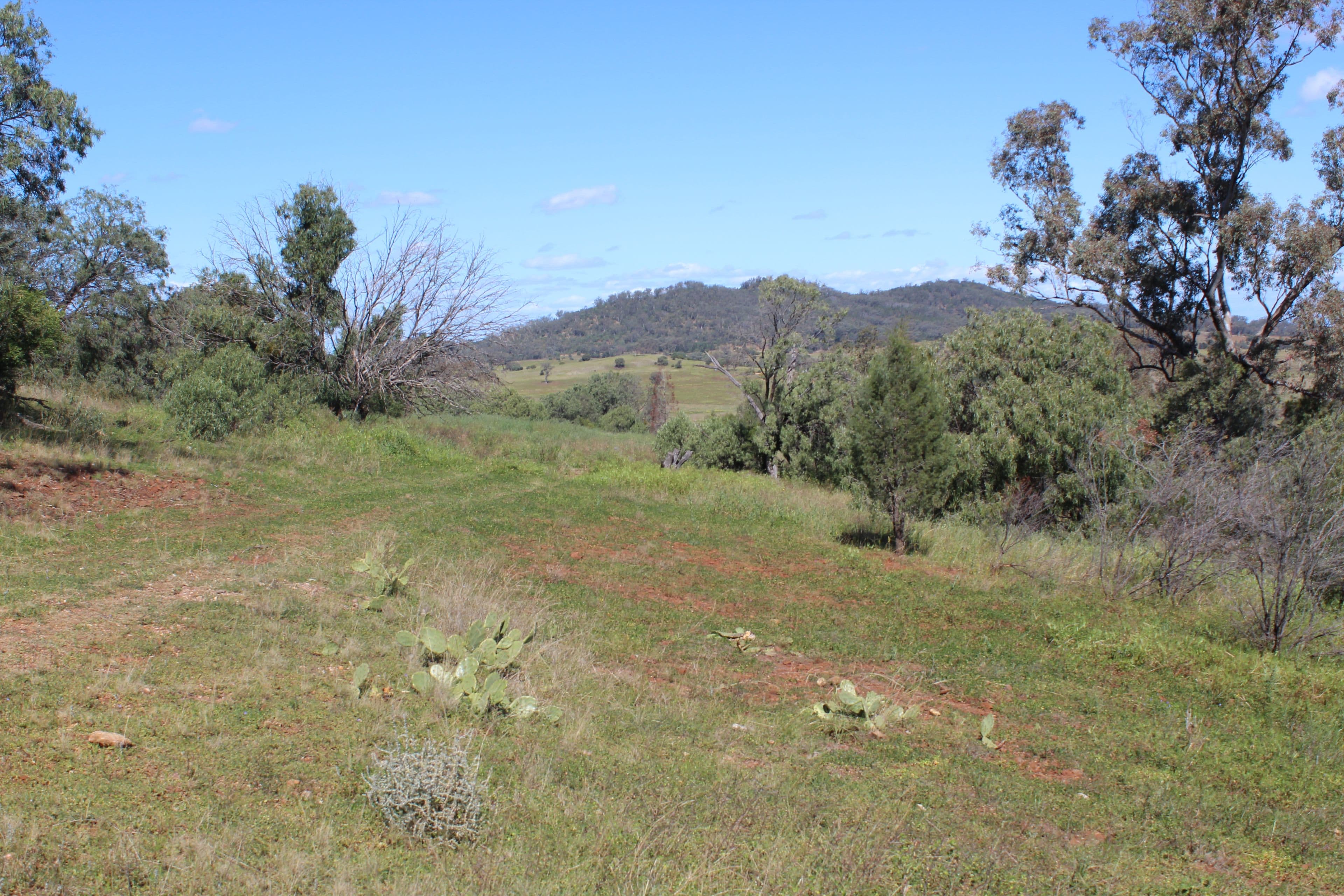 1633 Wandobah Road, Gunnedah NSW 2380, Gunnedah - Thumbnail 6