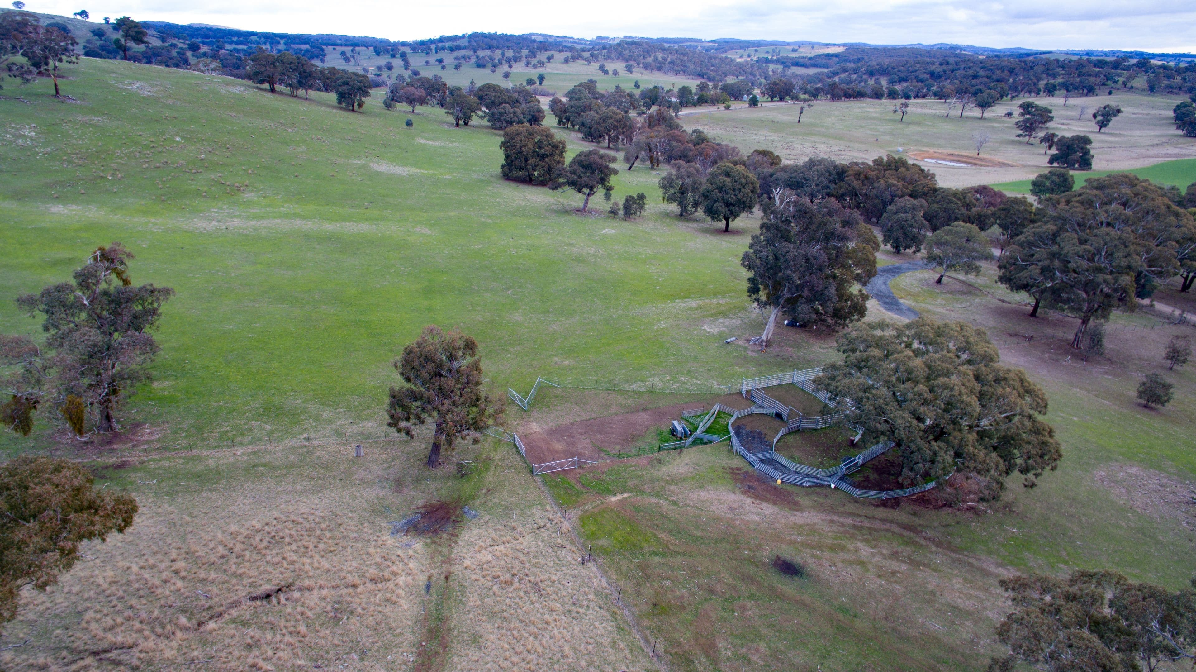 201 Gallymont Road, Mandurama NSW 2792, Mandurama - Thumbnail 3