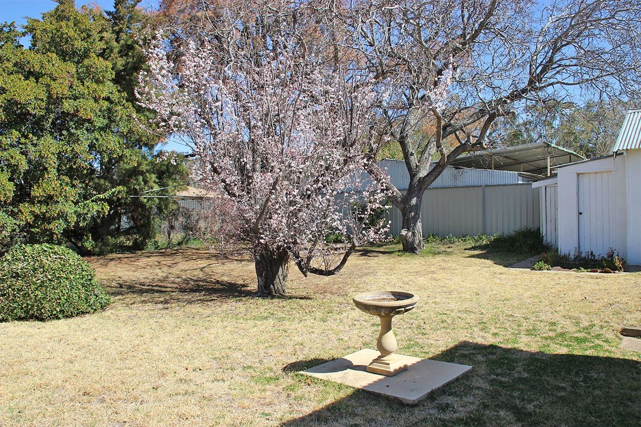 6 Cassilis Street, Coonabarabran - Thumbnail 3