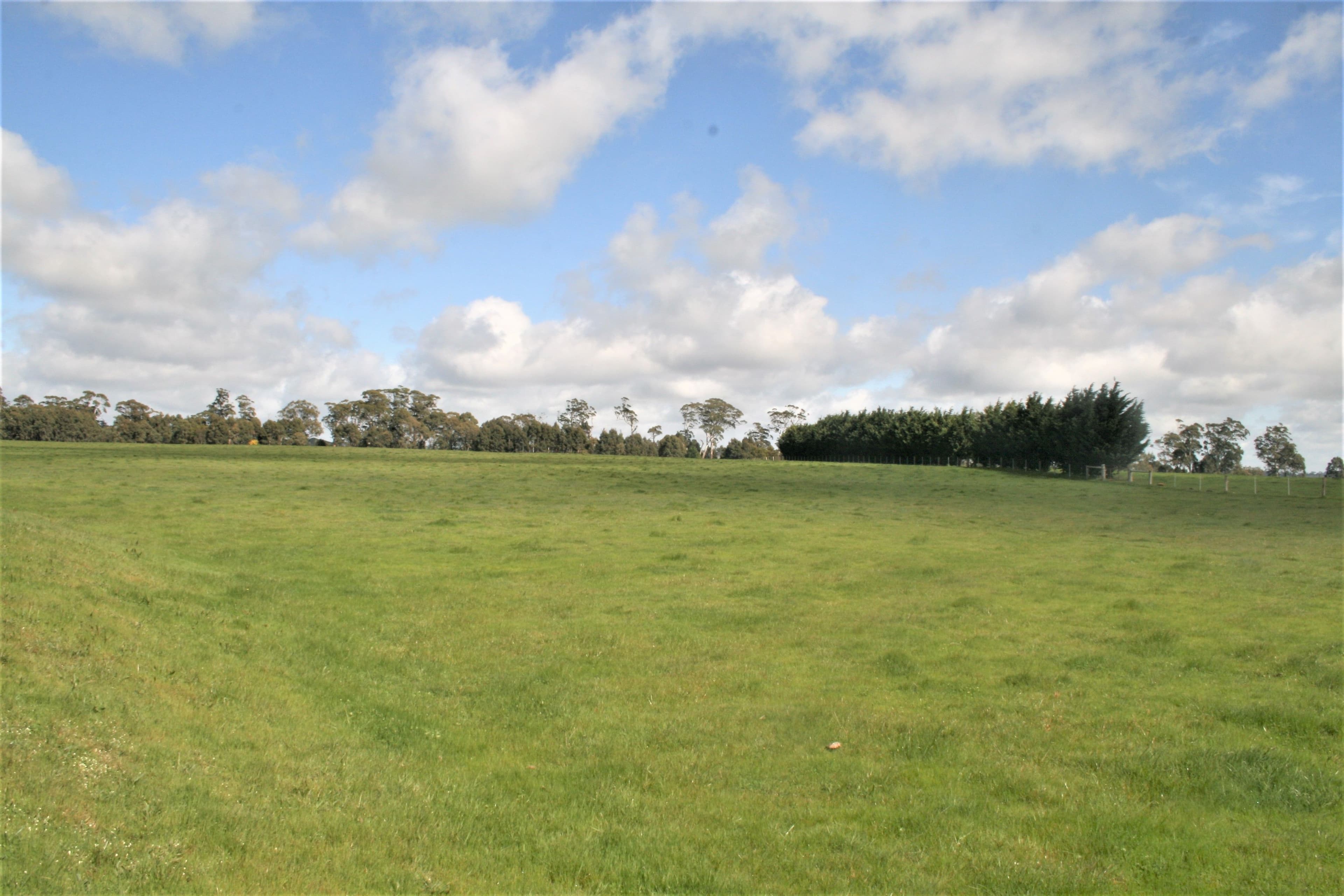 00 Trentham Road, Tylden VIC 3444, Tylden - Thumbnail 8