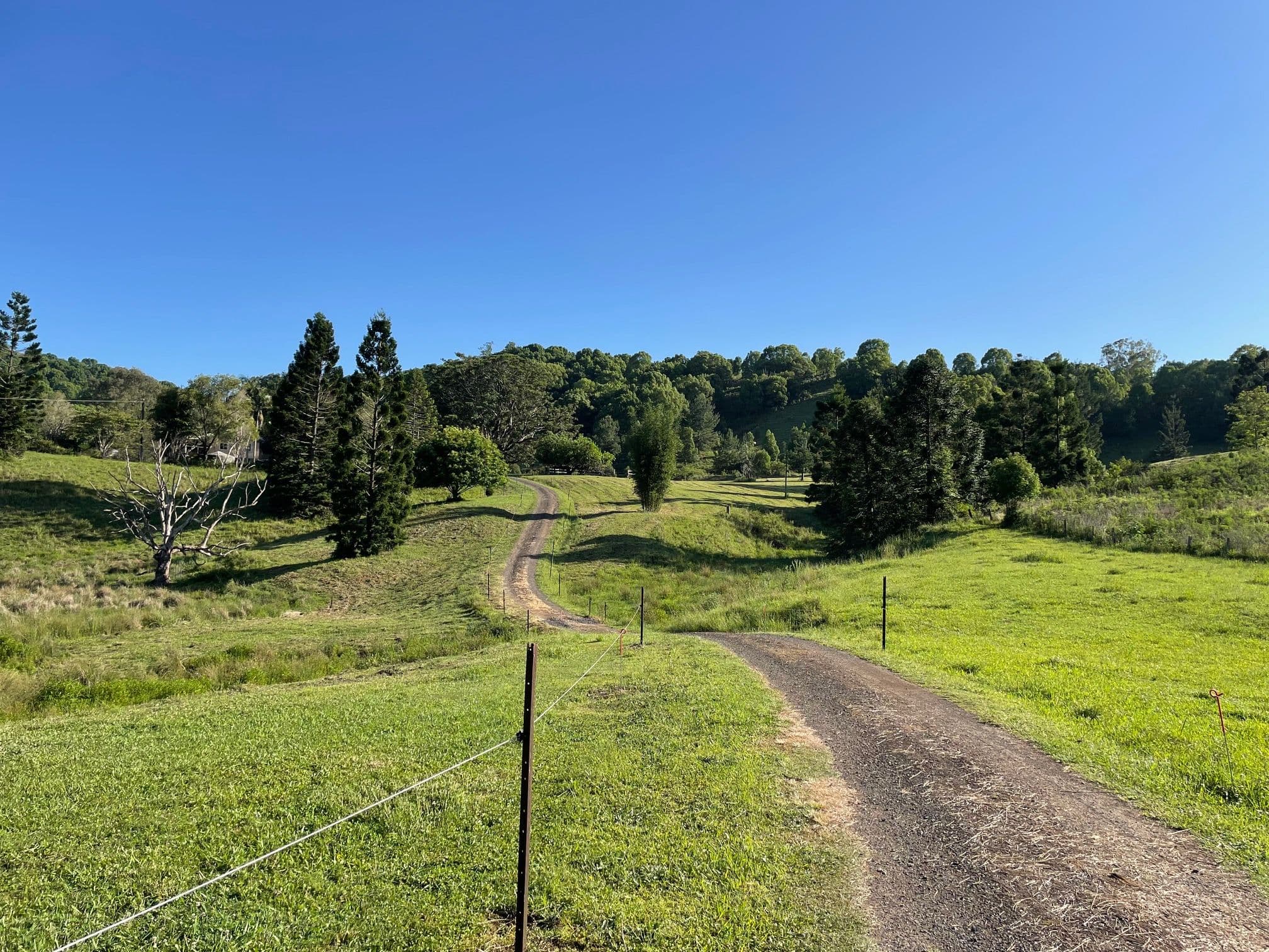 98 Tuntable Creek Road, The Channon NSW 2480, The Channon - Thumbnail 4