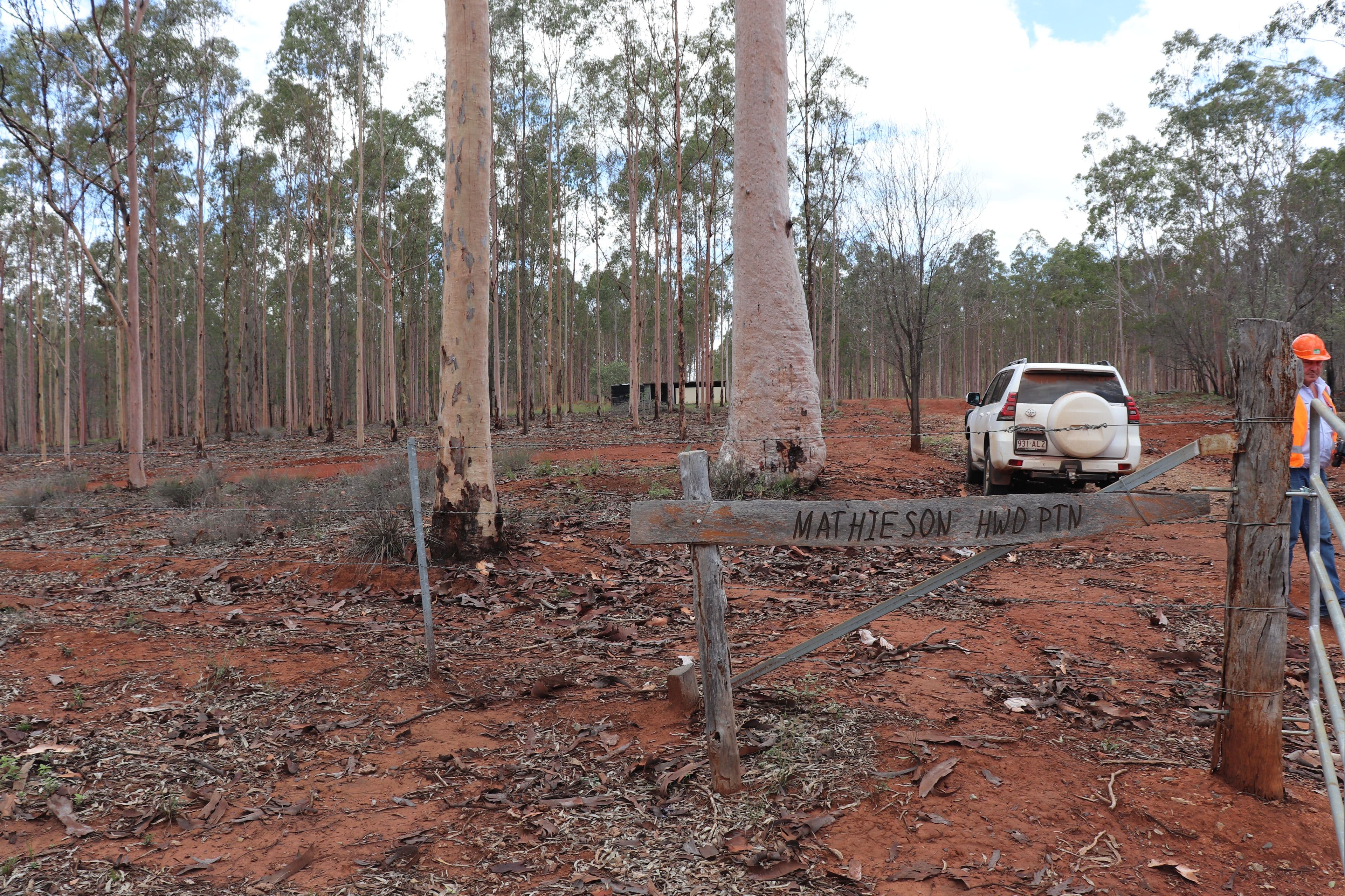 Mathisen Off Humphrey-Binjour Road, Binjour QLD 4625, Binjour - Thumbnail 5