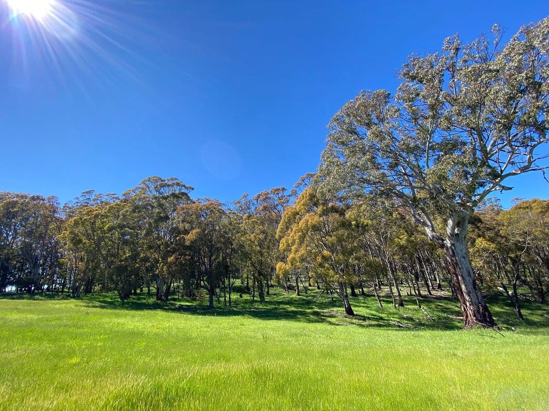 1696 Abercrombie Road, Black Springs NSW 2787, Black Springs - Thumbnail 2