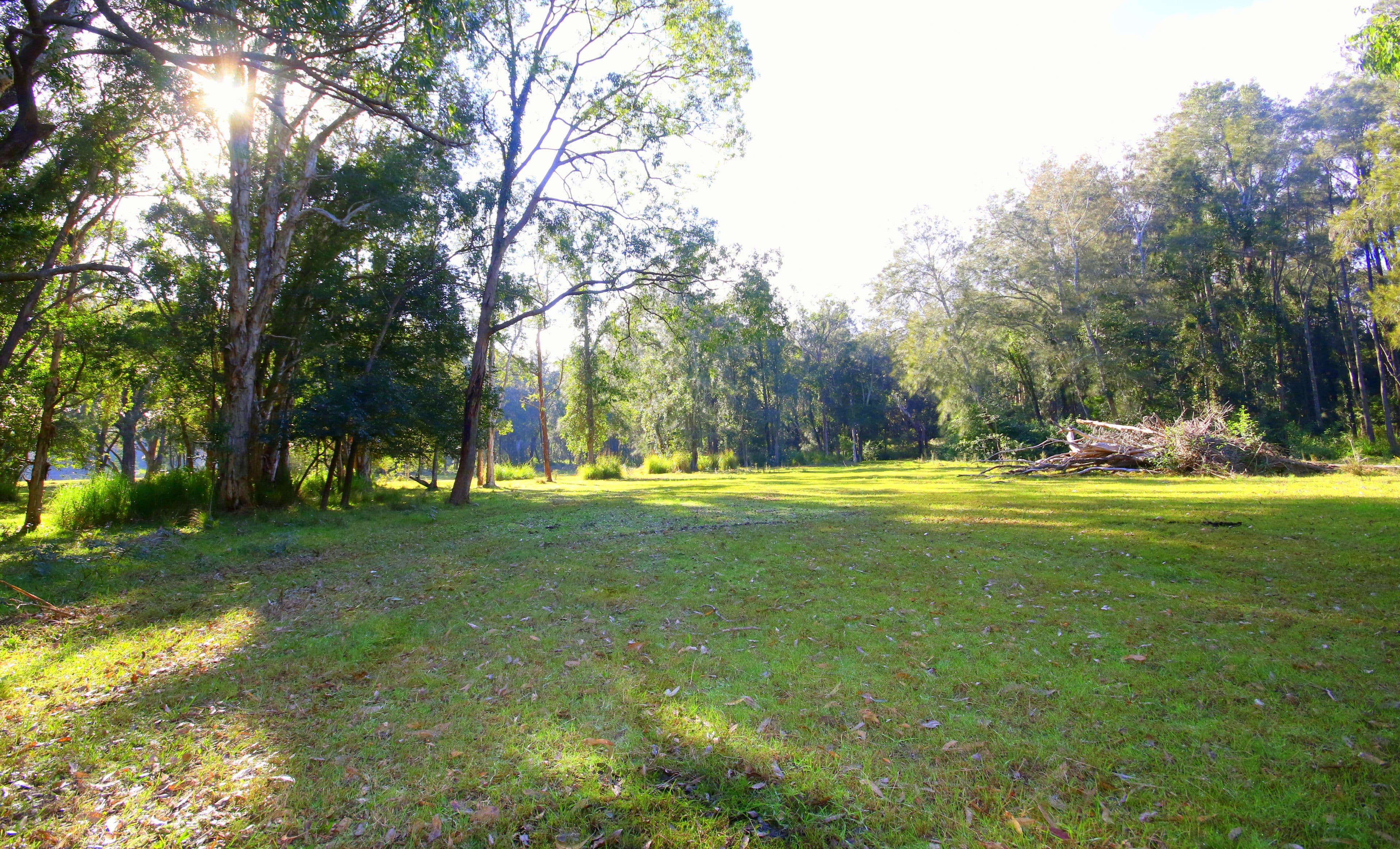 118 Fullerton Cove Road, Fullerton Cove NSW 2318, Fullerton Cove - Thumbnail 4