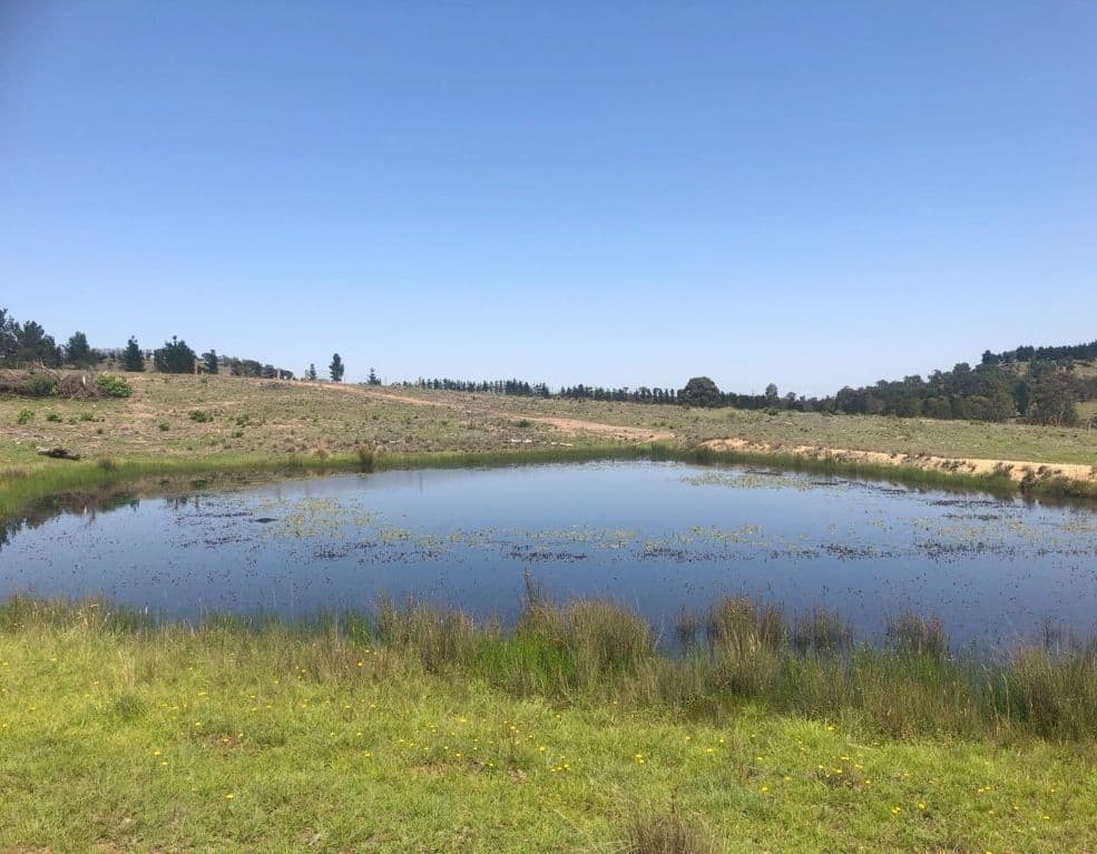Lot 2 Mount Fairy Road, Mount Fairy NSW 2580, Mount Fairy - Thumbnail 3