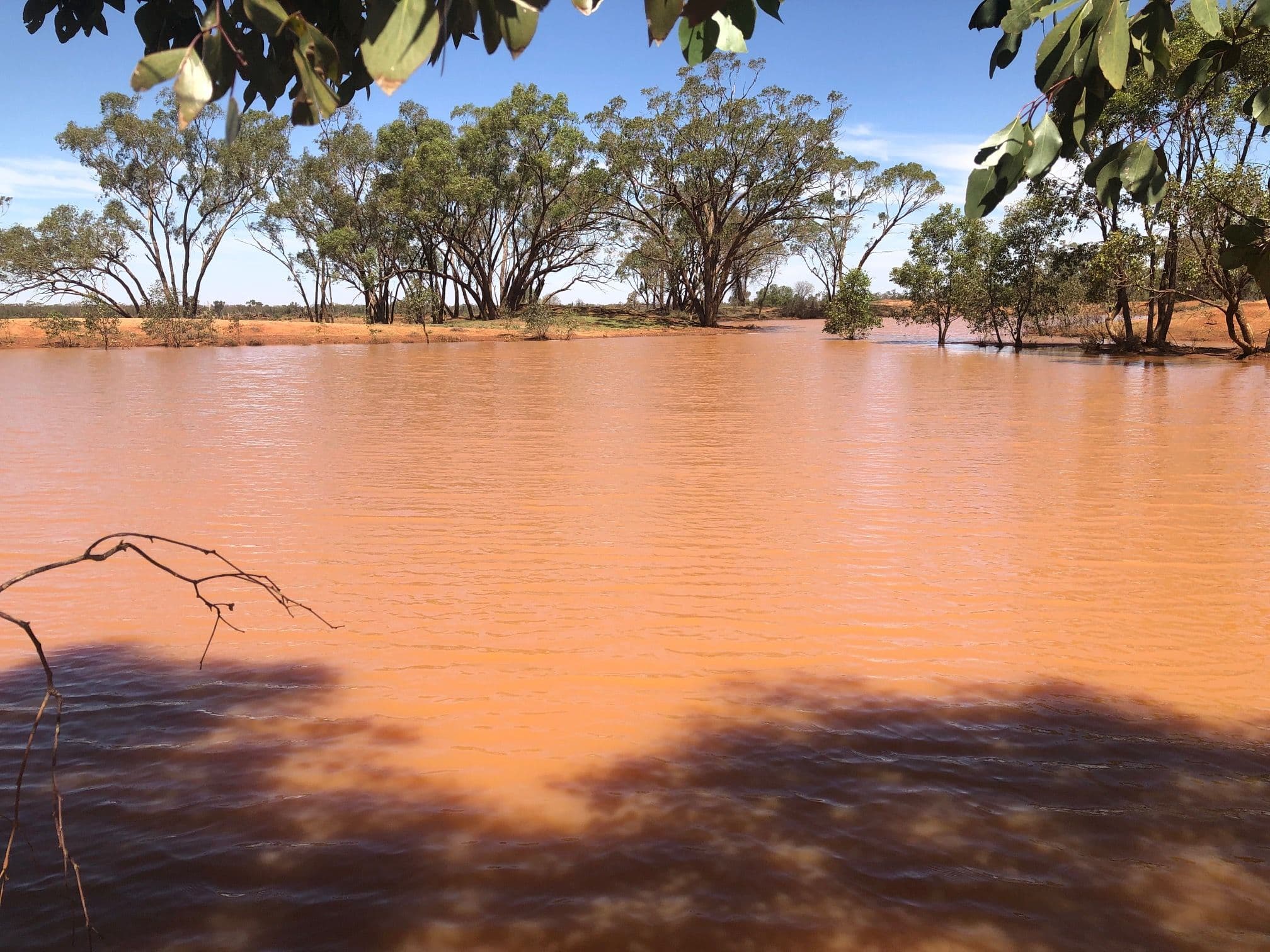 "Boolaroo" and "Warra Warra" Palesthan Road, CONDOBOLIN NSW 2877, Condobolin - Thumbnail 4