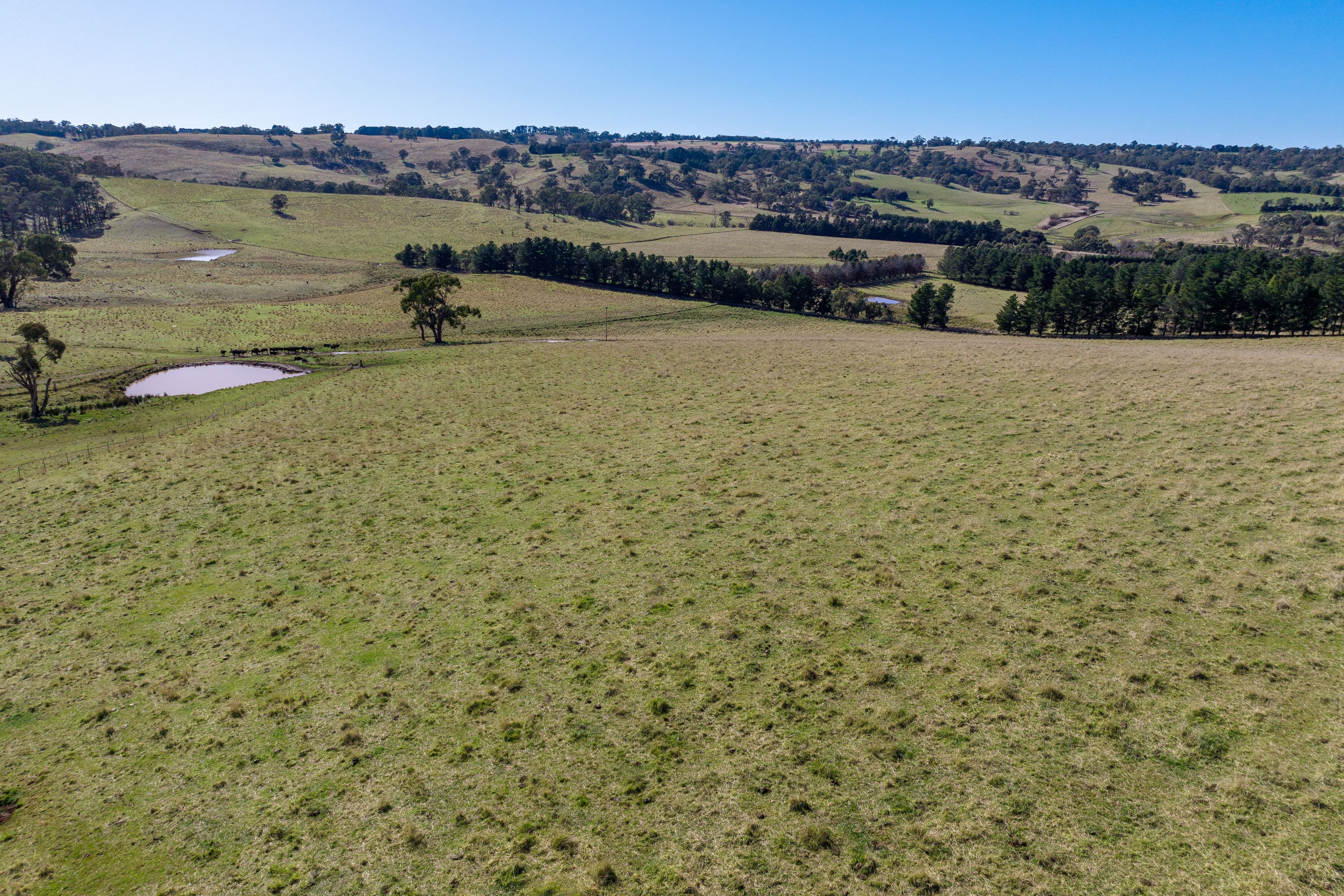 57 Pilcher Road, Orange NSW 2800, Orange - Image 1