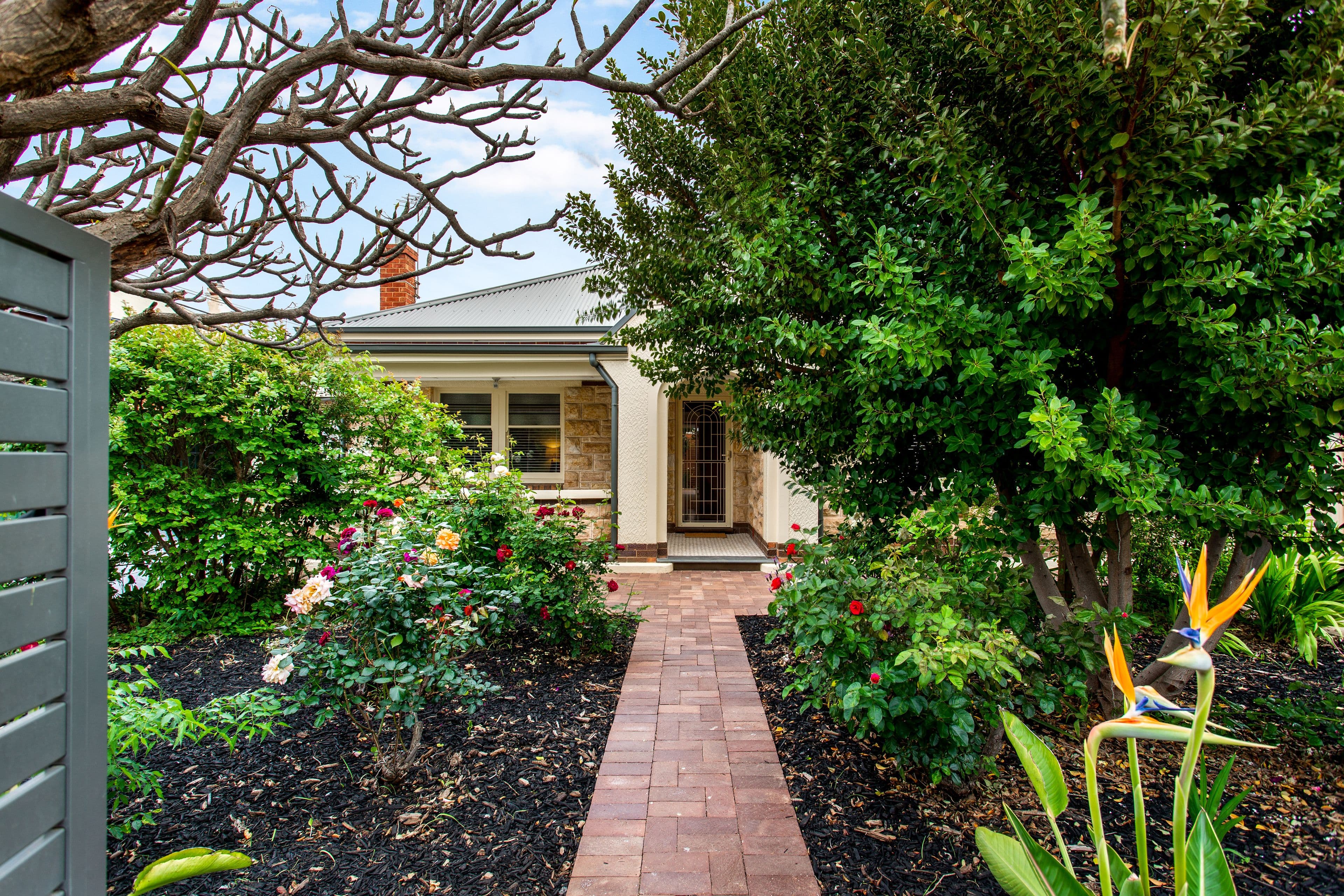 27 Colston Street, Cheltenham SA 5014, Cheltenham - Thumbnail 2