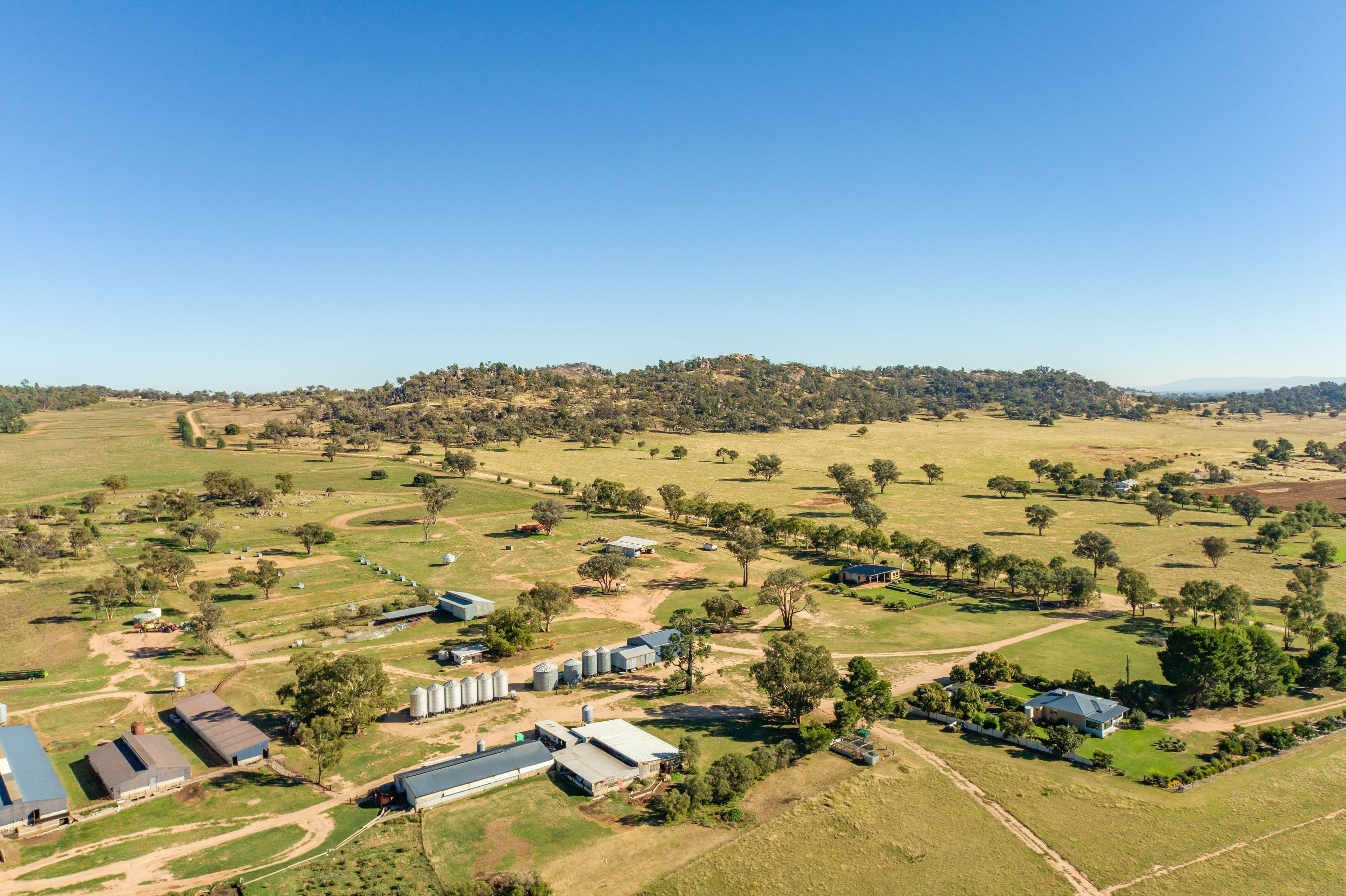 "Springview" Loch Lomond Road, Gooloogong NSW 2805, Gooloogong - Image 1