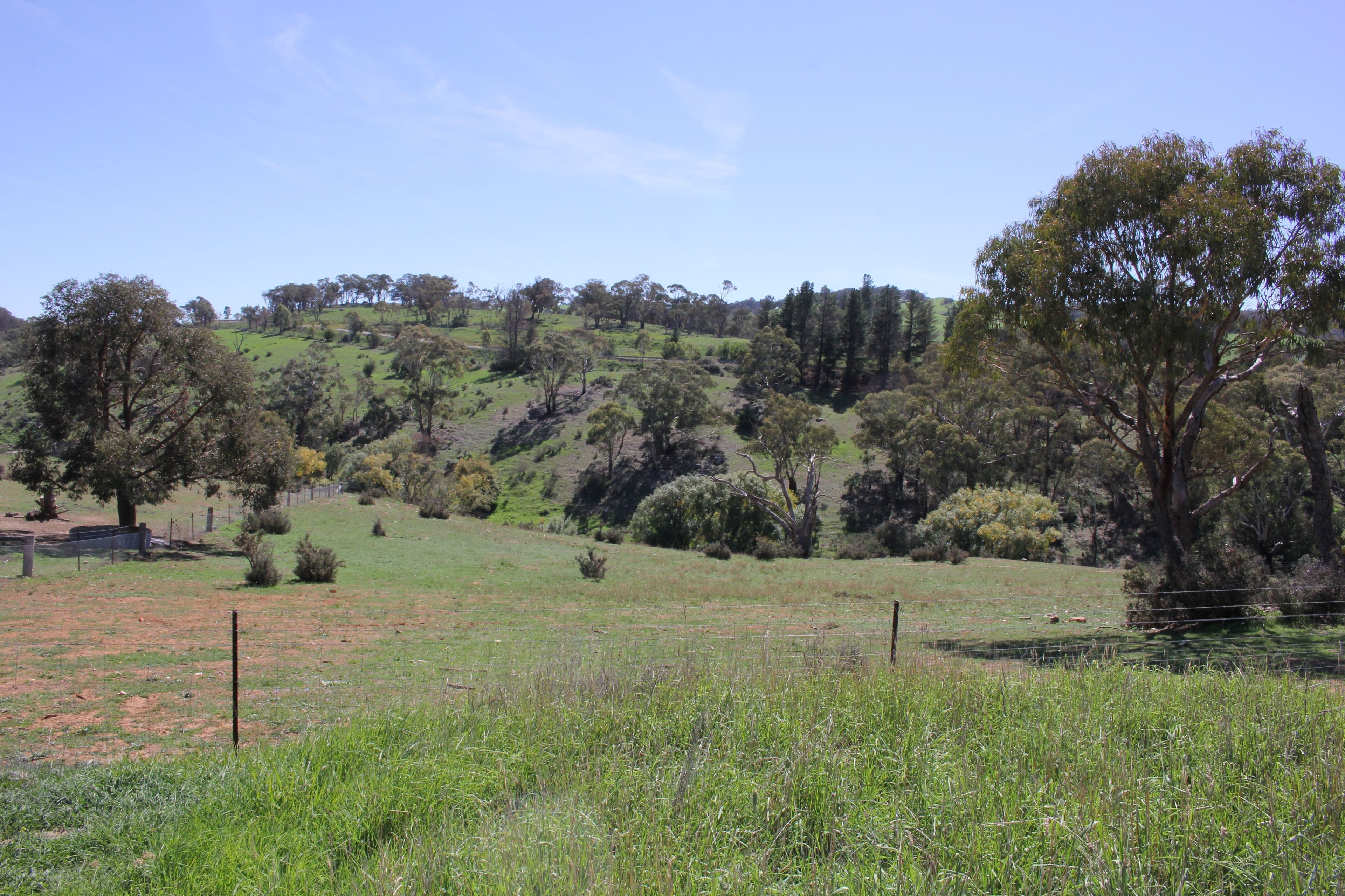 Rockley NSW 2795, Rockley - Thumbnail 7