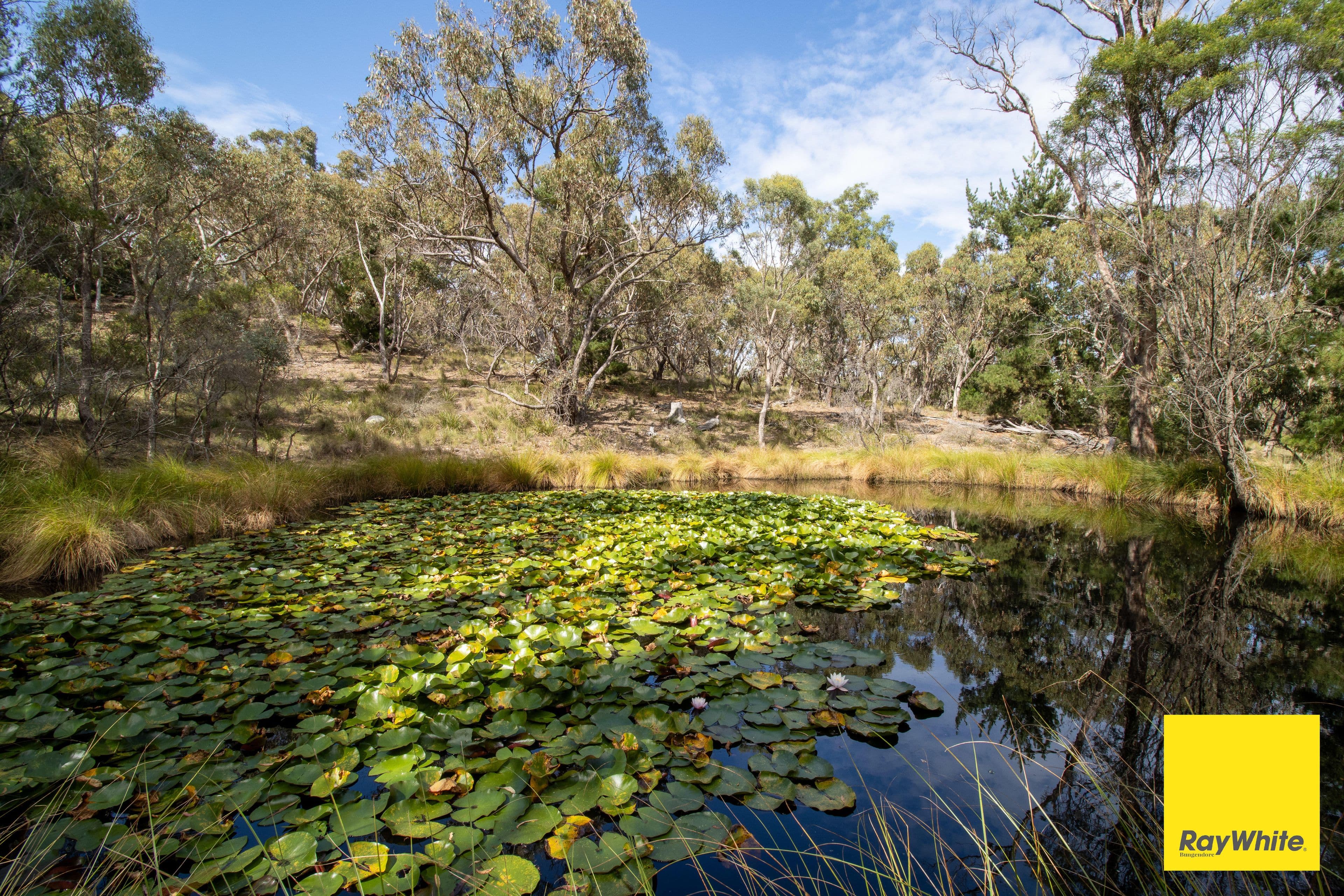 290 Donnelly Road, Bywong NSW 2621, Bywong - Thumbnail 4
