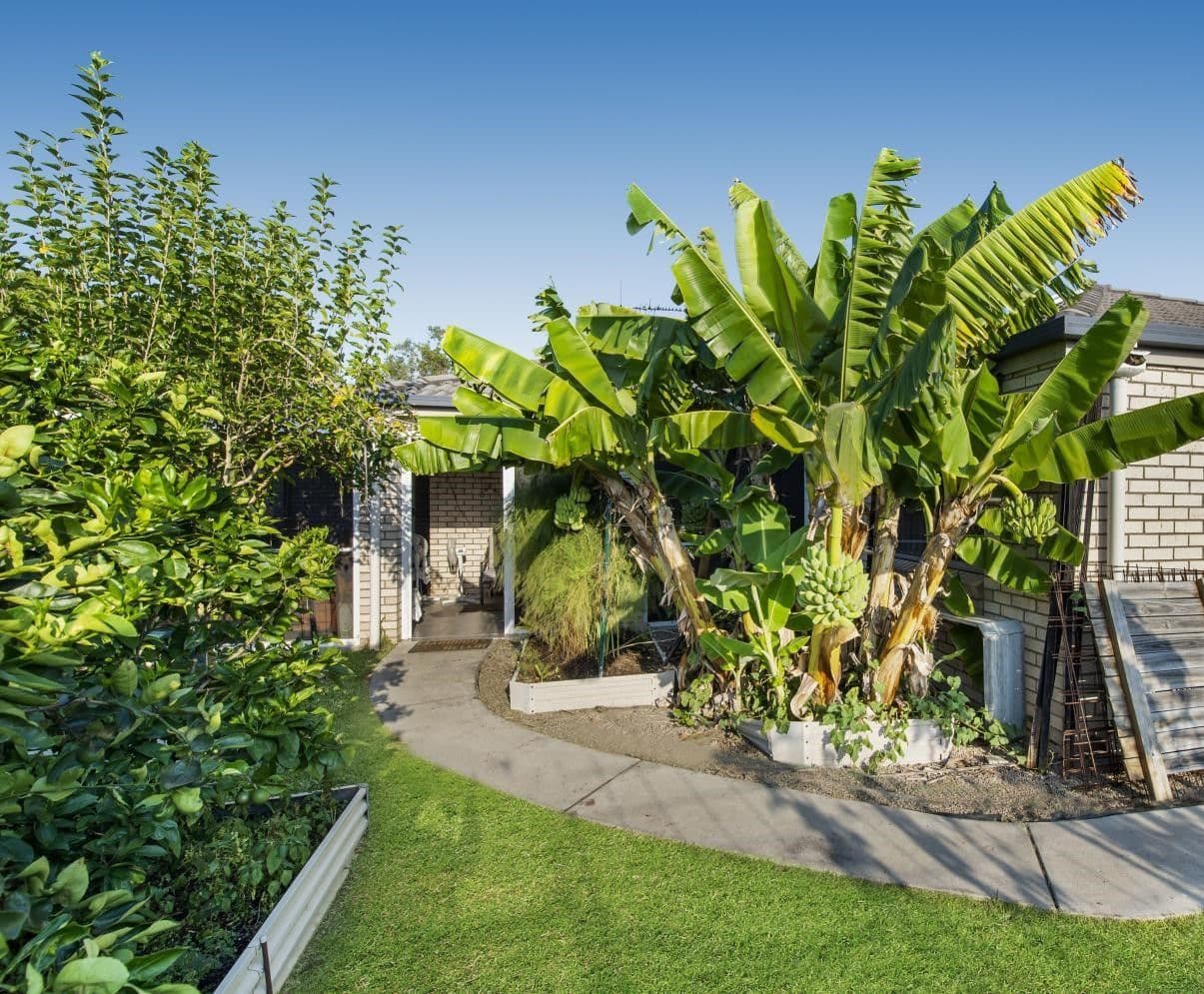 43 Male Road, Caboolture QLD 4510, Caboolture - Thumbnail 2