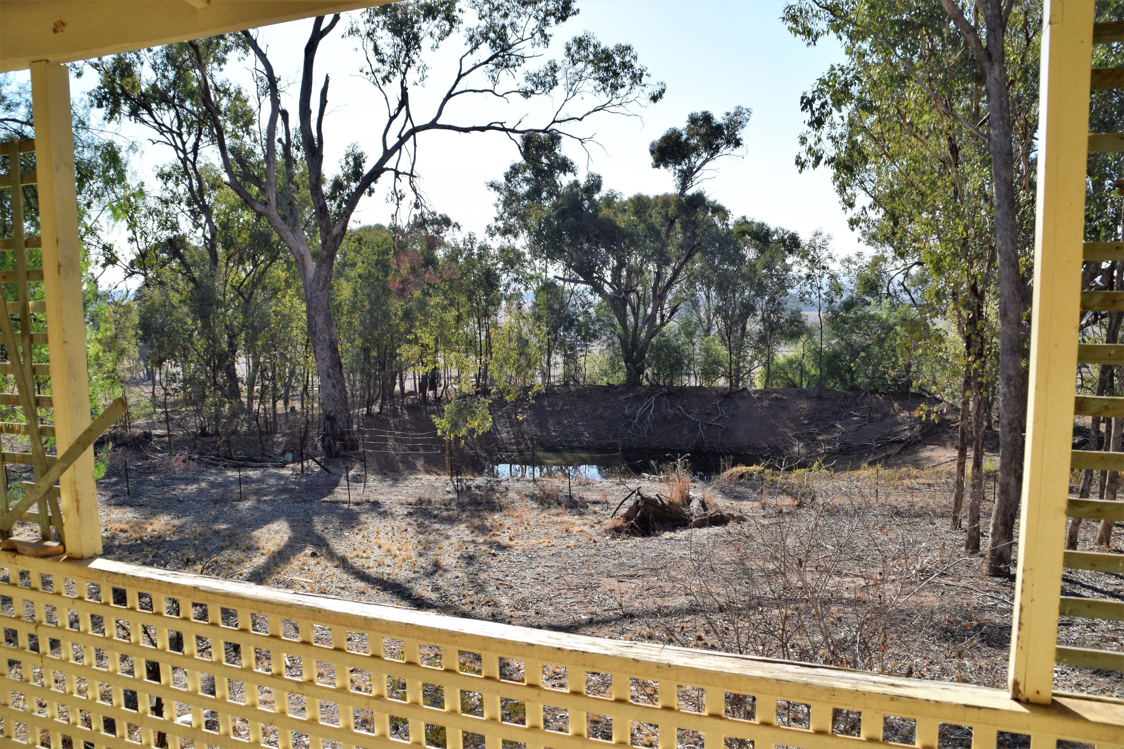 'Fox Hill' 573 Blathery Creek Road, Neurea NSW 2820, Neurea - Thumbnail 8