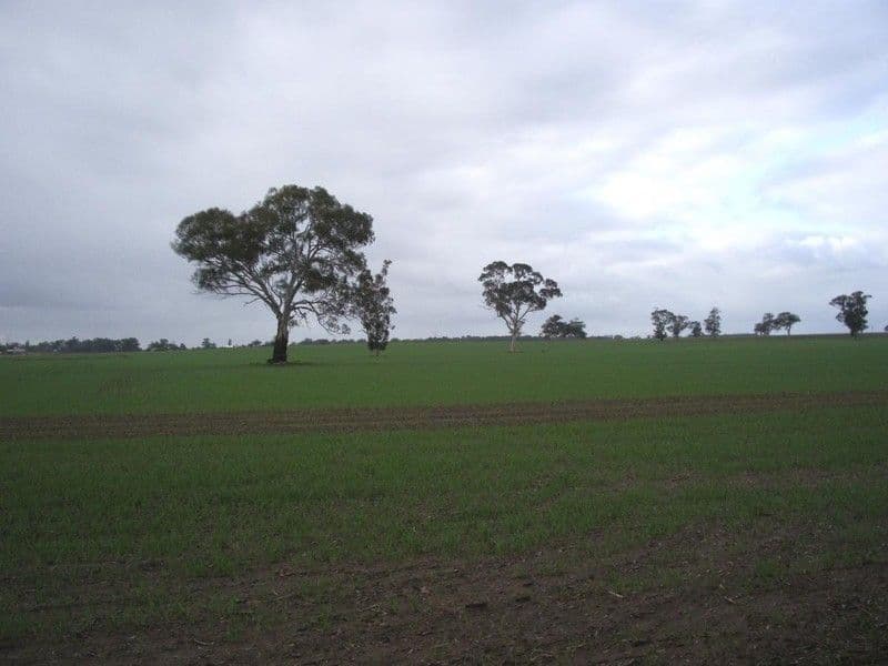 Section 64 Pigeon Flat Road, Mundulla SA 5270, Mundulla - Thumbnail 4