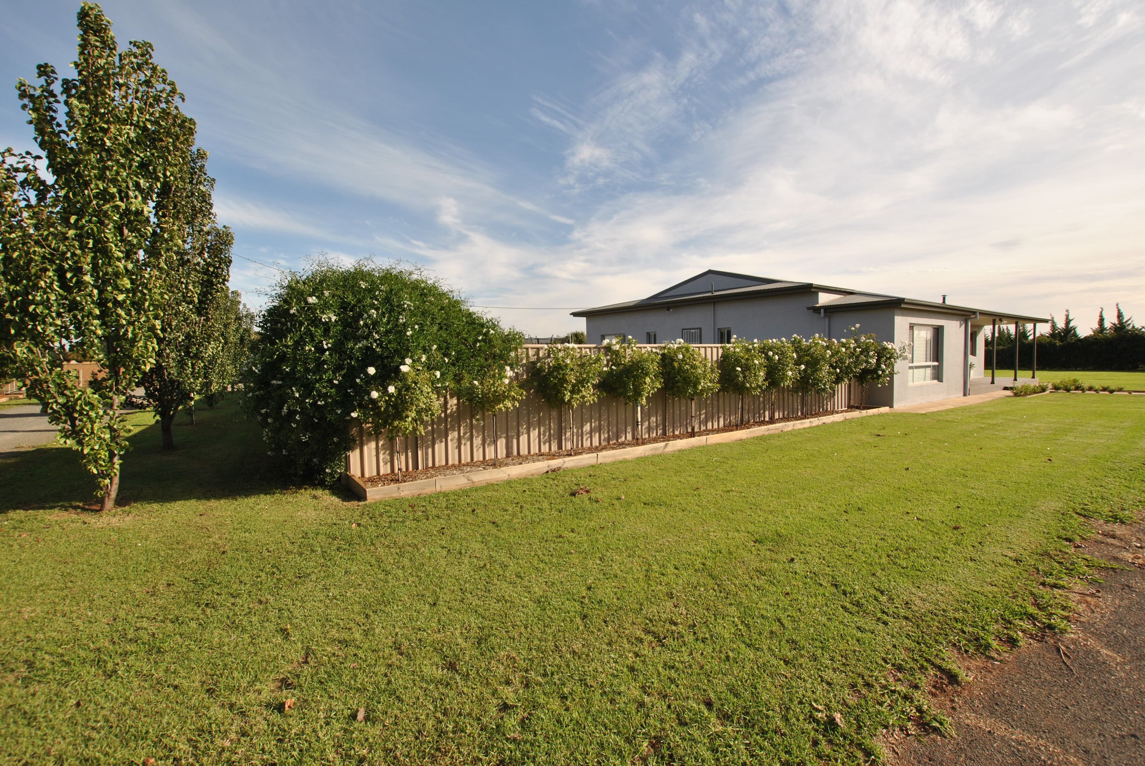 89 Moseley Road, Bilbul NSW 2680, Bilbul - Thumbnail 6