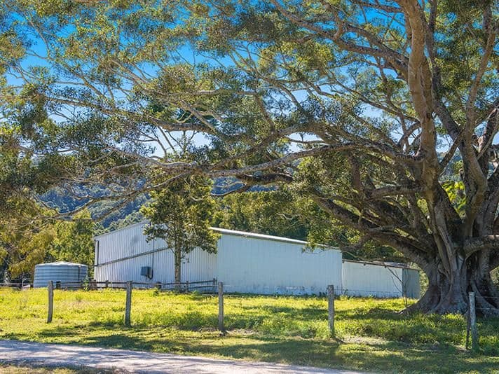 Murwillumbah NSW 2484, Murwillumbah - Thumbnail 2