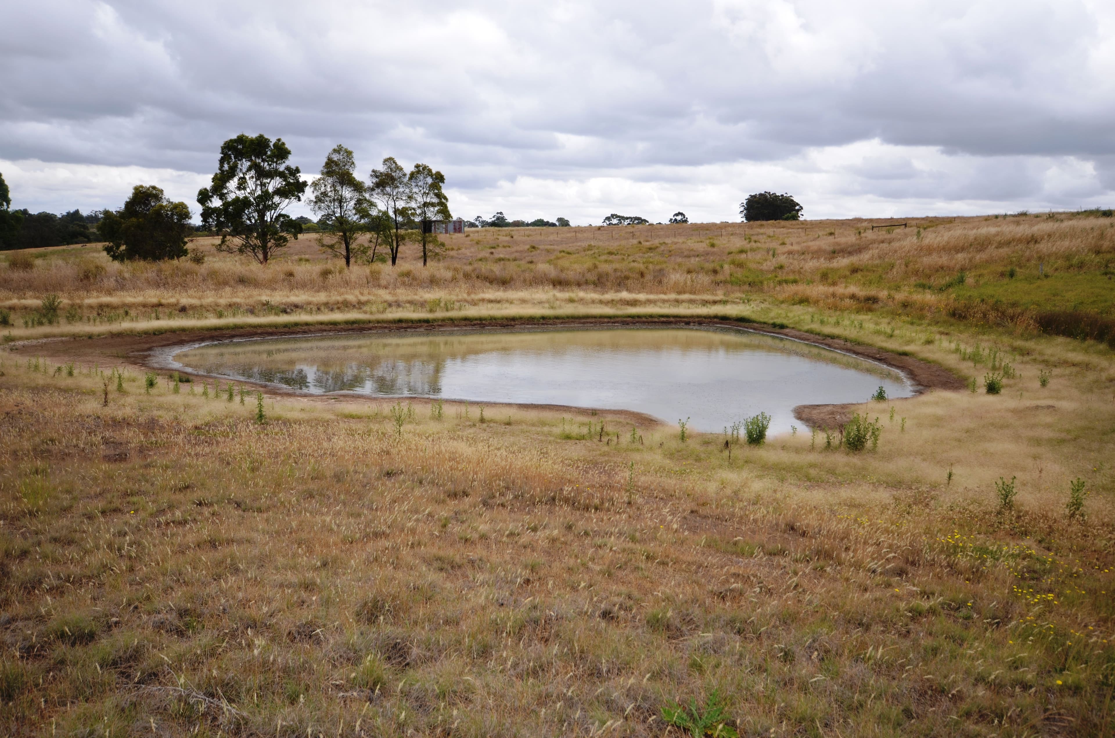 13 Pett Street, Skipton VIC 3361, Skipton - Image 1