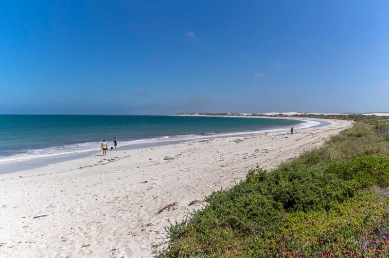 6 Desert Road, Lancelin WA 6044, Lancelin - Thumbnail 3