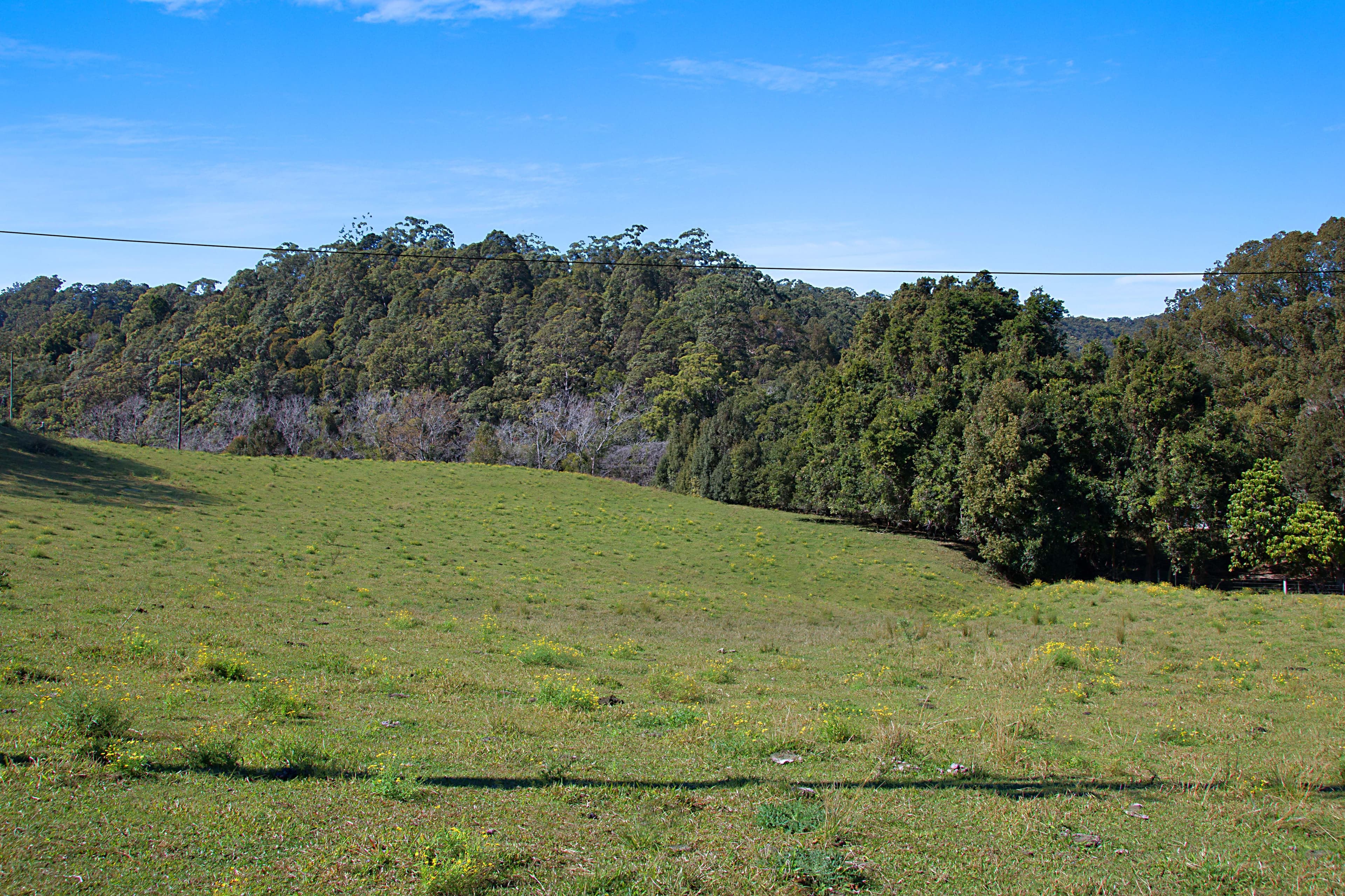 679 Urliup Road, Urliup NSW 2484, Urliup - Thumbnail 4