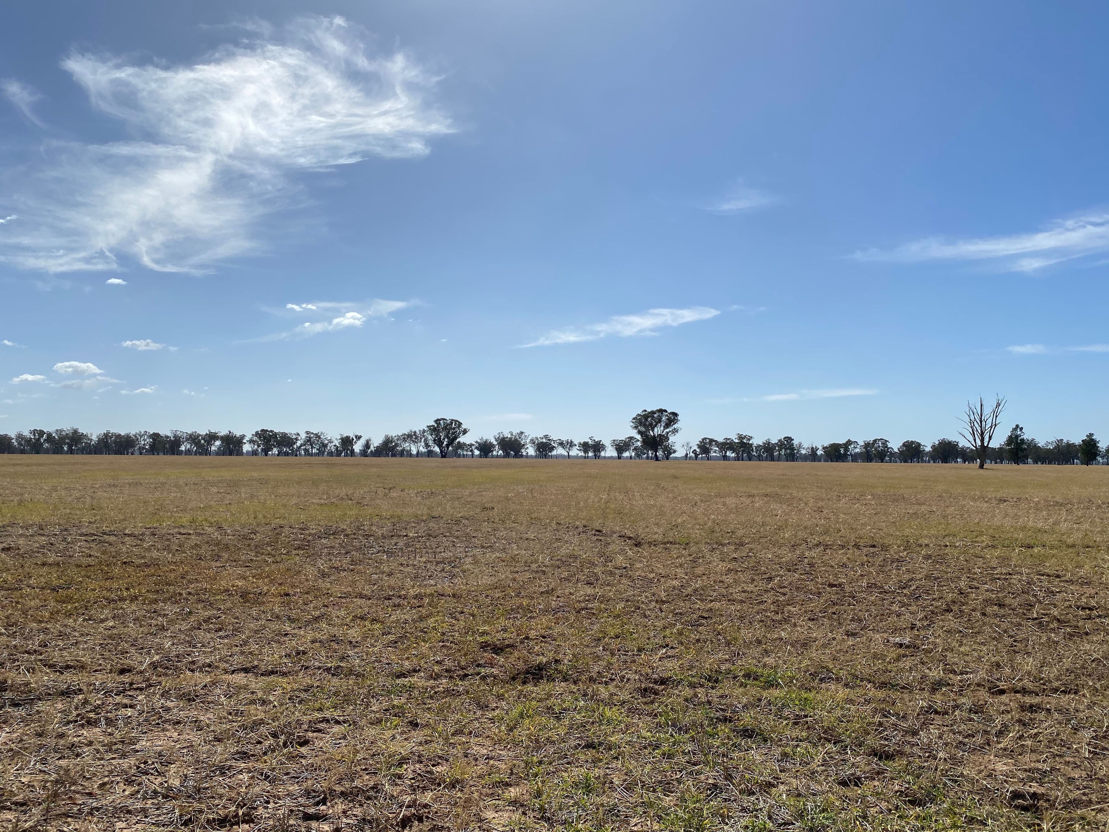 Young NSW 2594, Young - Thumbnail 6