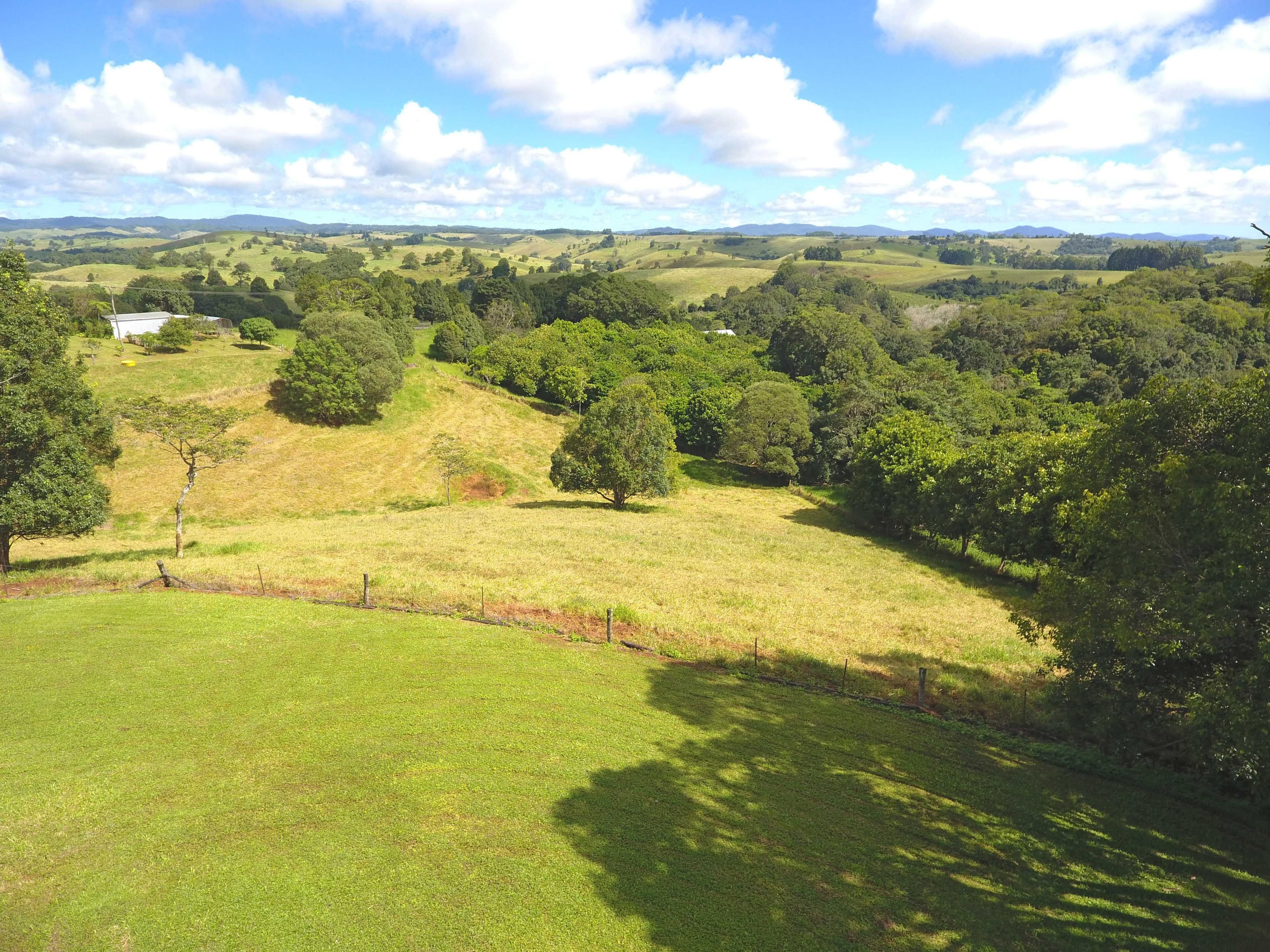 Tarzali QLD 4885, Tarzali - Thumbnail 2