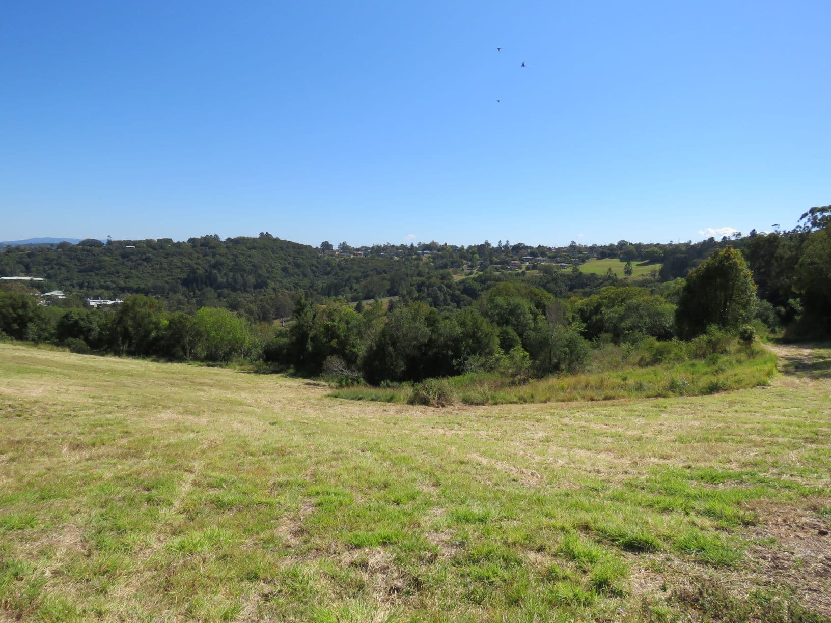 19 Highfield Terrace, Goonellabah NSW 2480, Goonellabah - Thumbnail 5