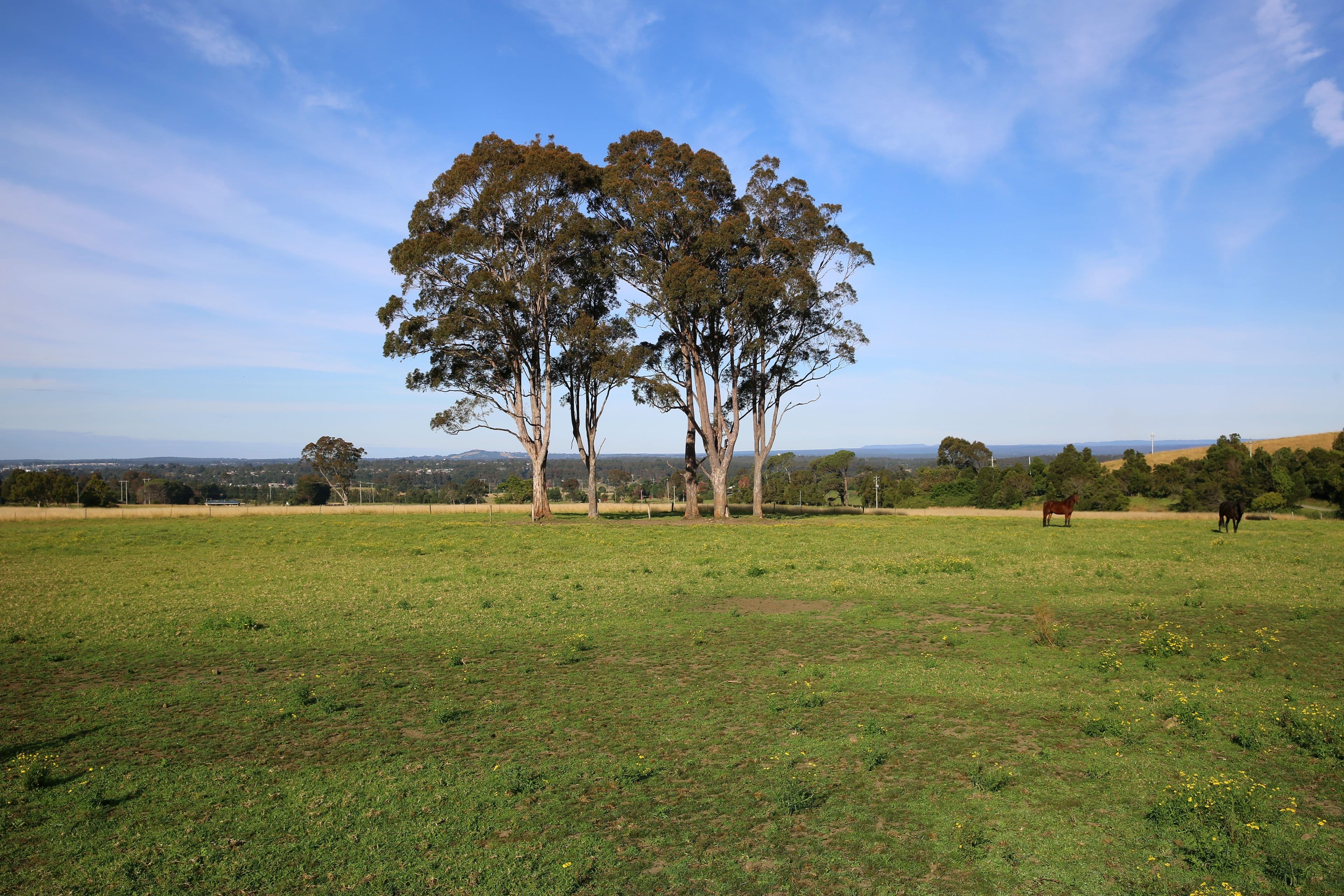 110B Elliott Lane, Meroo Meadow NSW 2540, Meroo Meadow - Thumbnail 6
