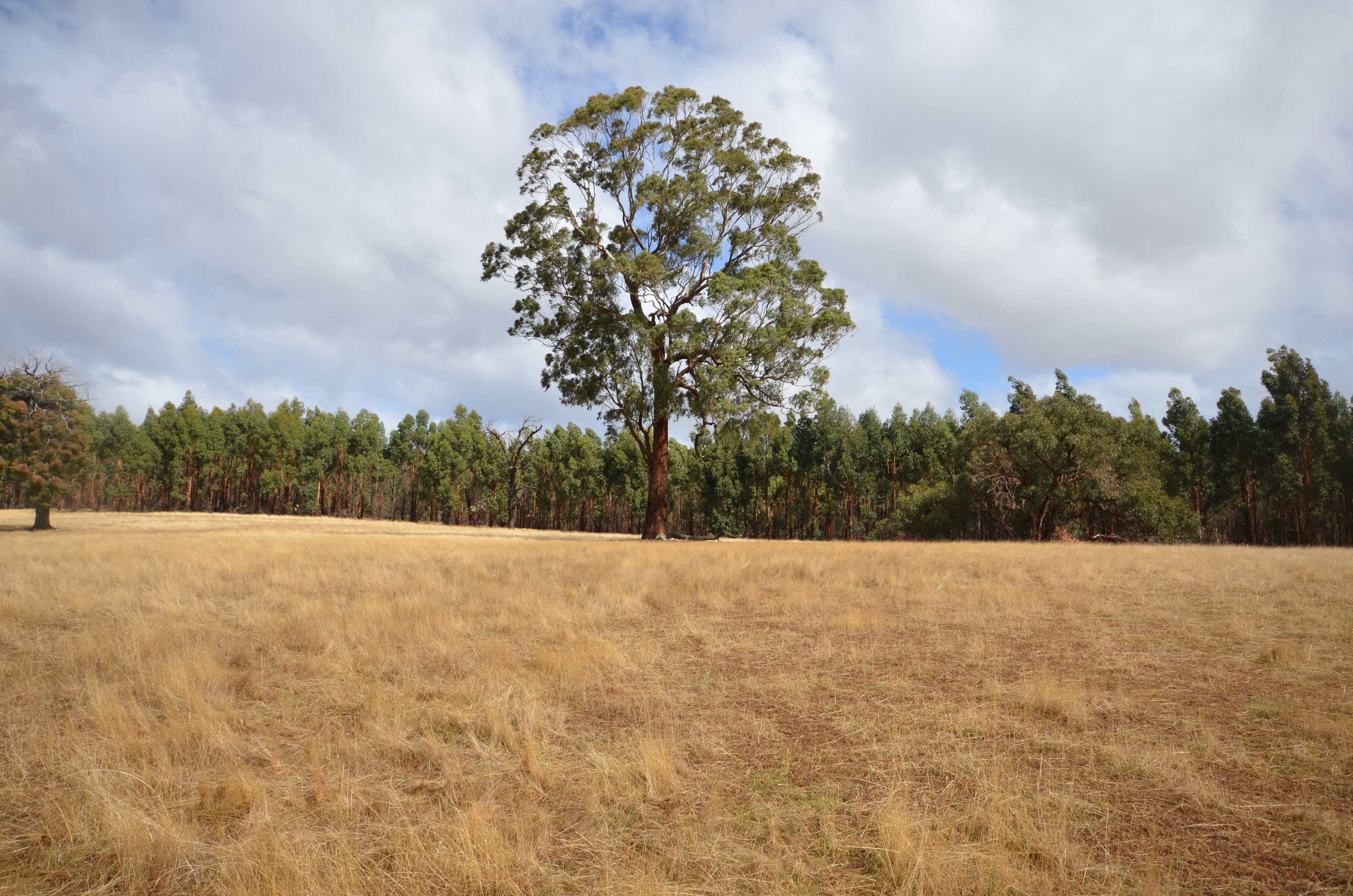 "Price" Feud Road, EVERSLEY VIC 3377, Eversley - Thumbnail 4