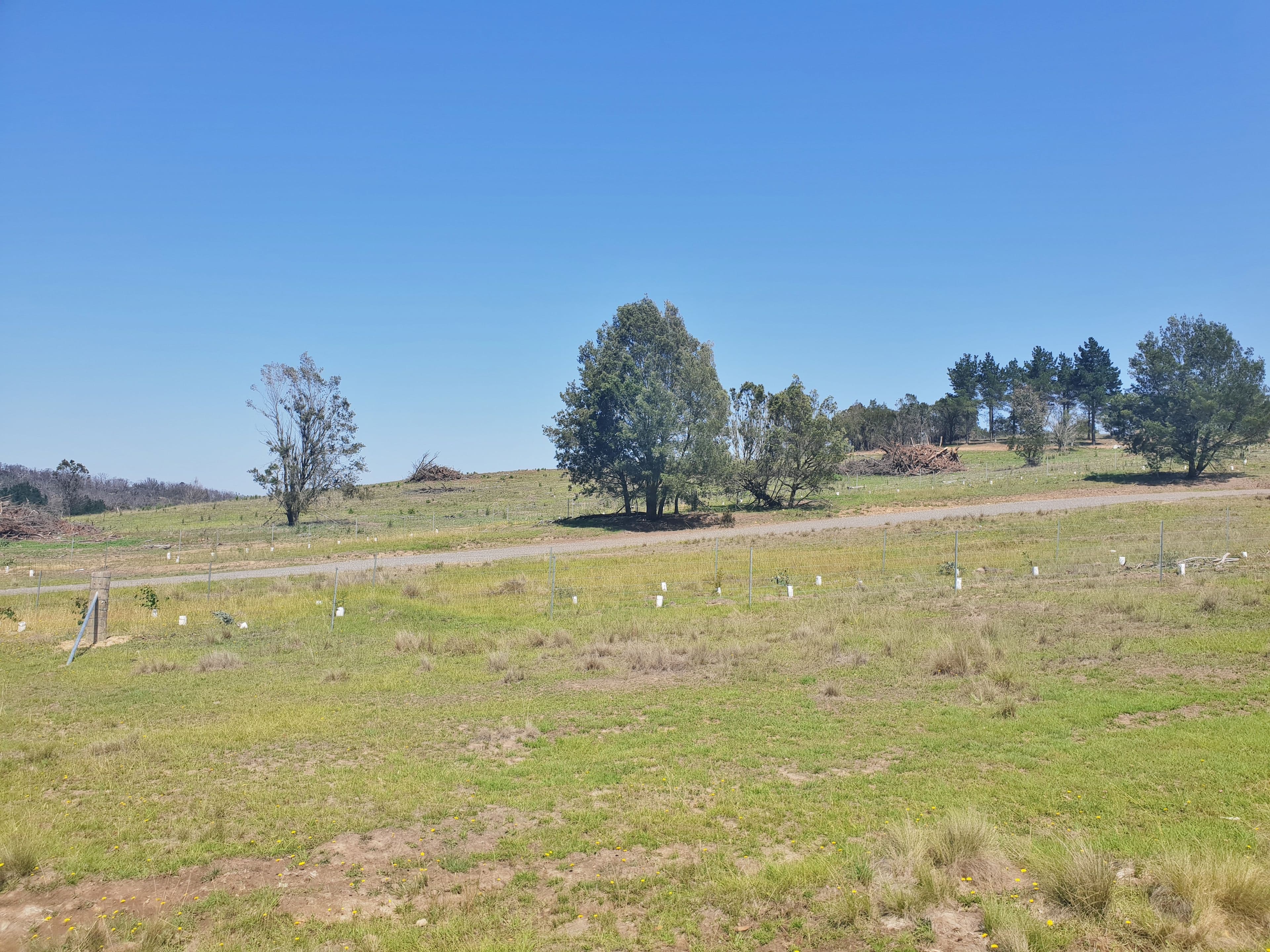 Lot 2 Mount Fairy Road, Mount Fairy NSW 2580, Mount Fairy - Thumbnail 4