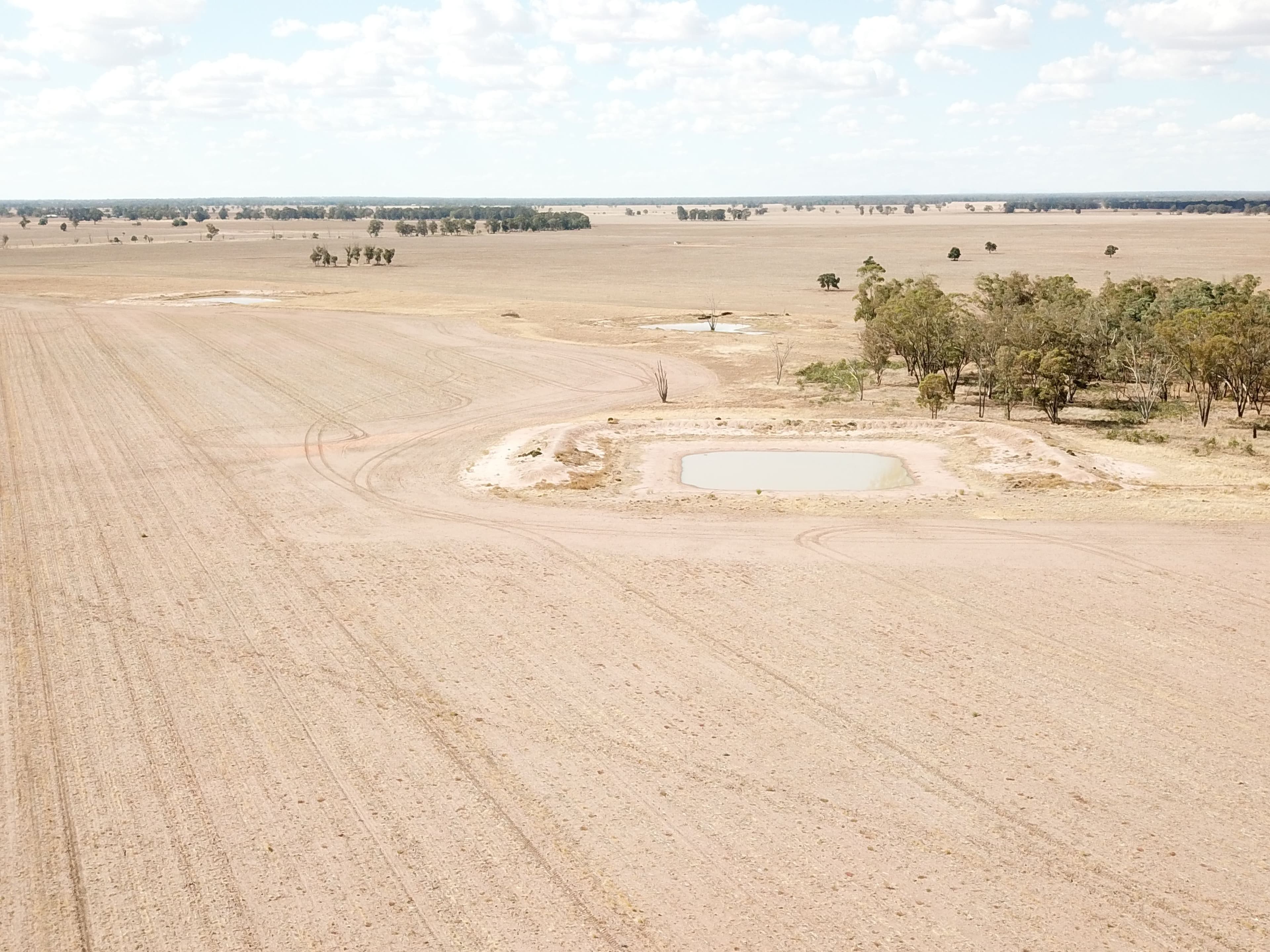 Pett's Block, Pineview Road, NARROMINE NSW 2821, Narromine - Thumbnail 7