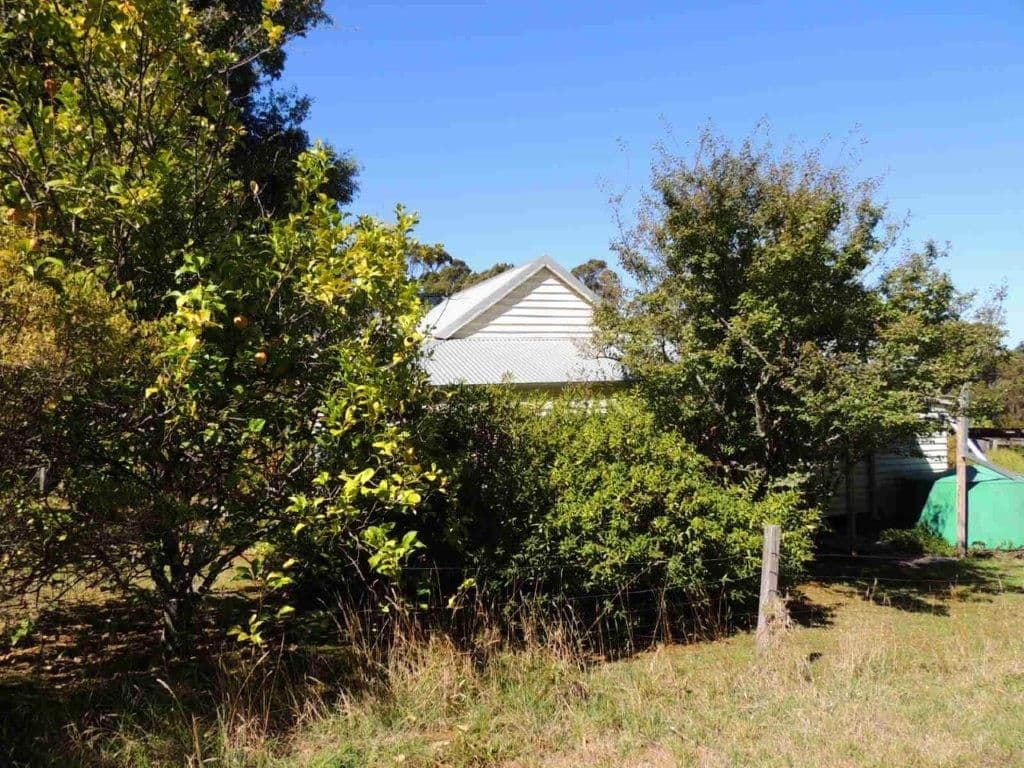 68 Warham Road, Denmark WA 6333, Denmark - Thumbnail 3