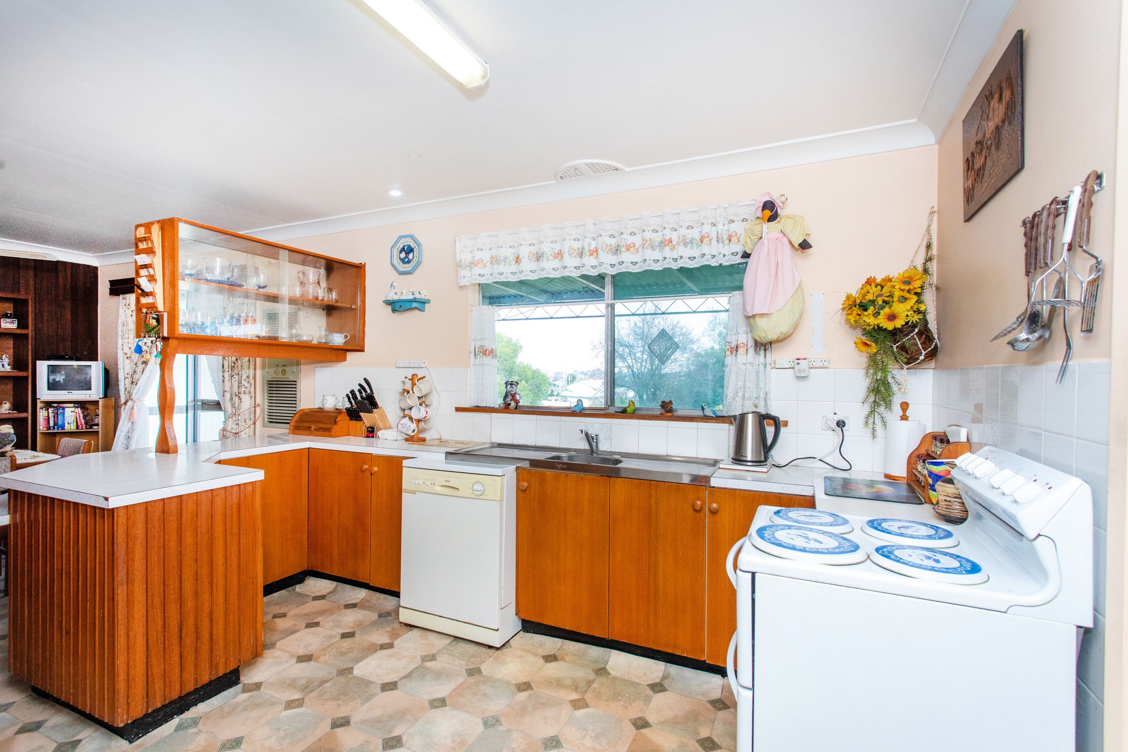 31 Bourke Street, Cowra NSW 2794, Cowra - Thumbnail 6