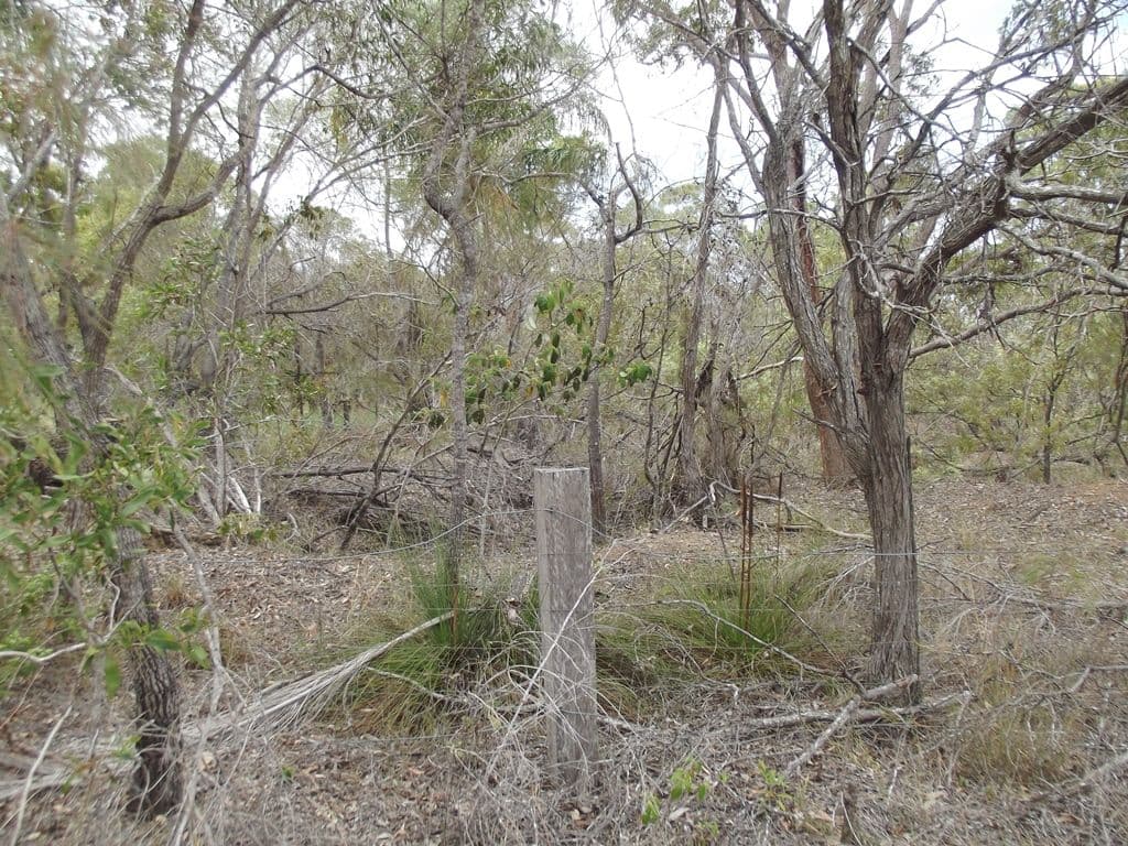 9-17 Keith Street, Burrum River QLD 4659, Burrum River - Thumbnail 3