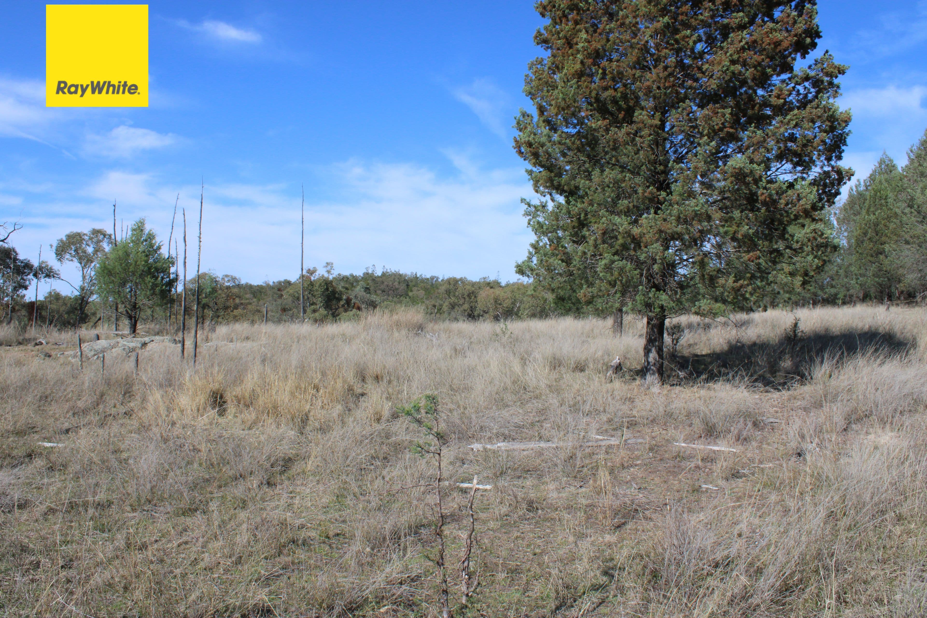 Inverell NSW 2360, Inverell - Image 1