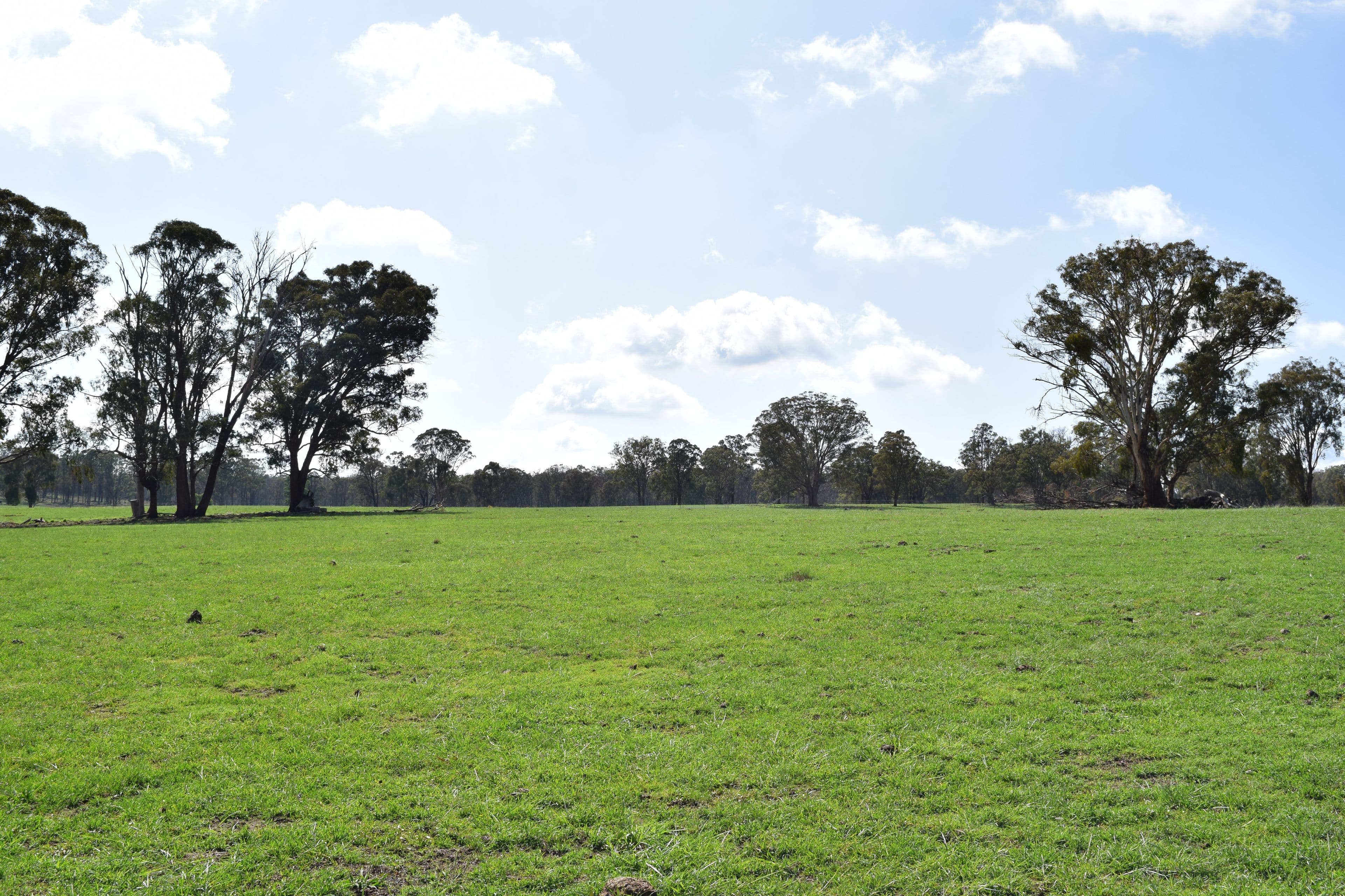 1071 Briarbrook Road, Guyra NSW 2365, Guyra - Thumbnail 6