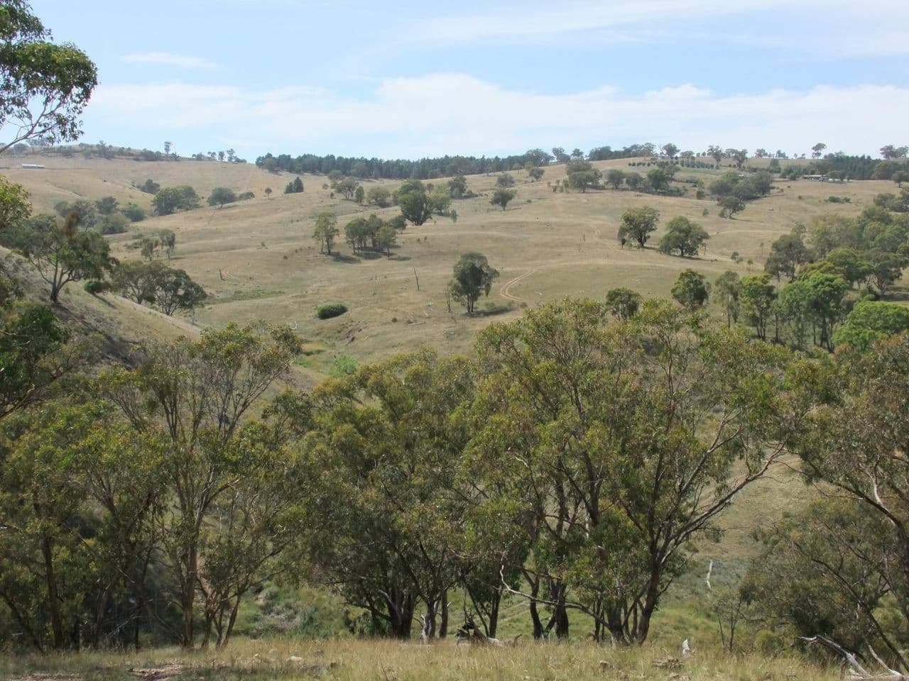 Sofala NSW 2795, Sofala - Thumbnail 2