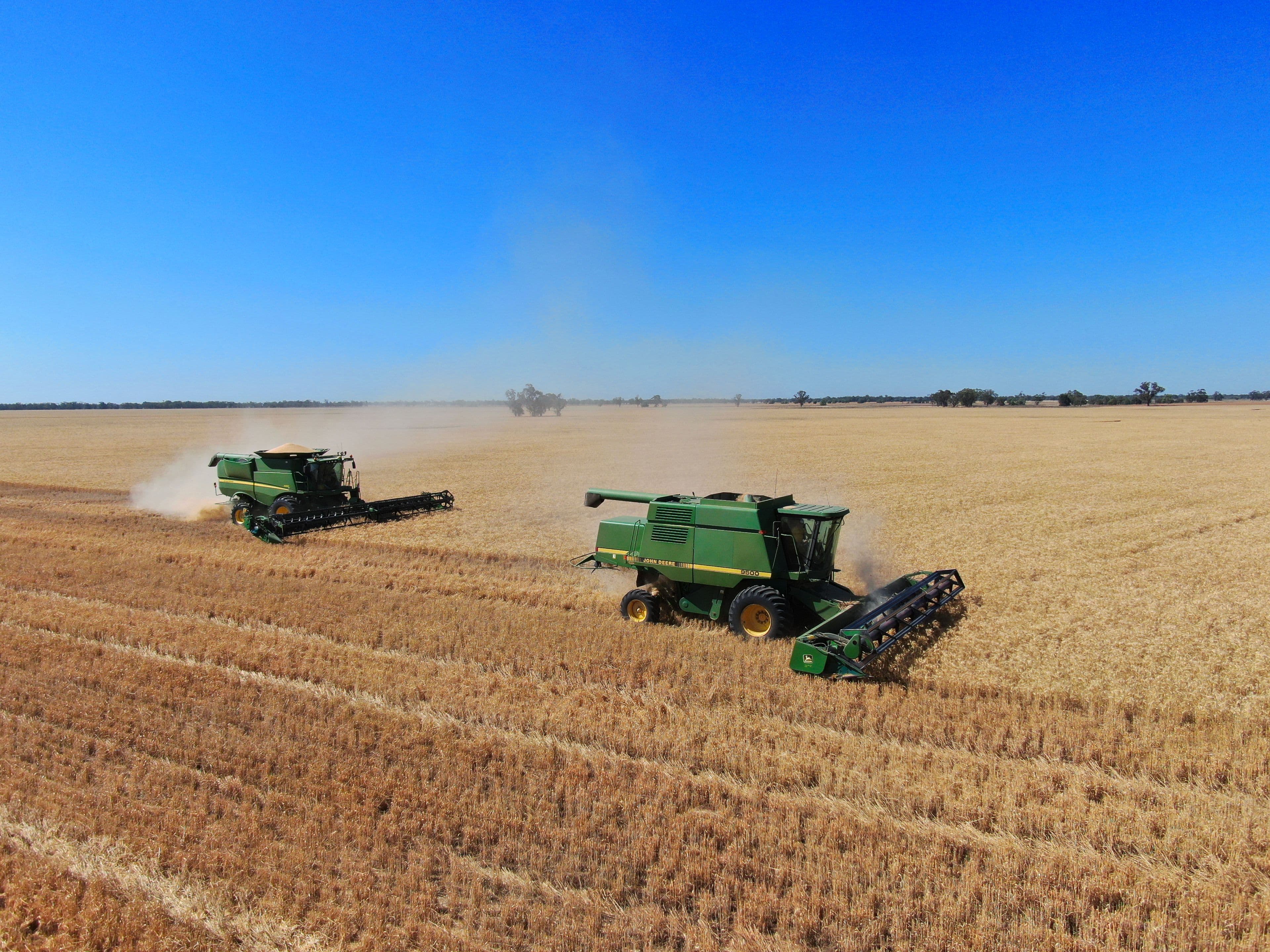 Narromine NSW 2821, Narromine - Image 1
