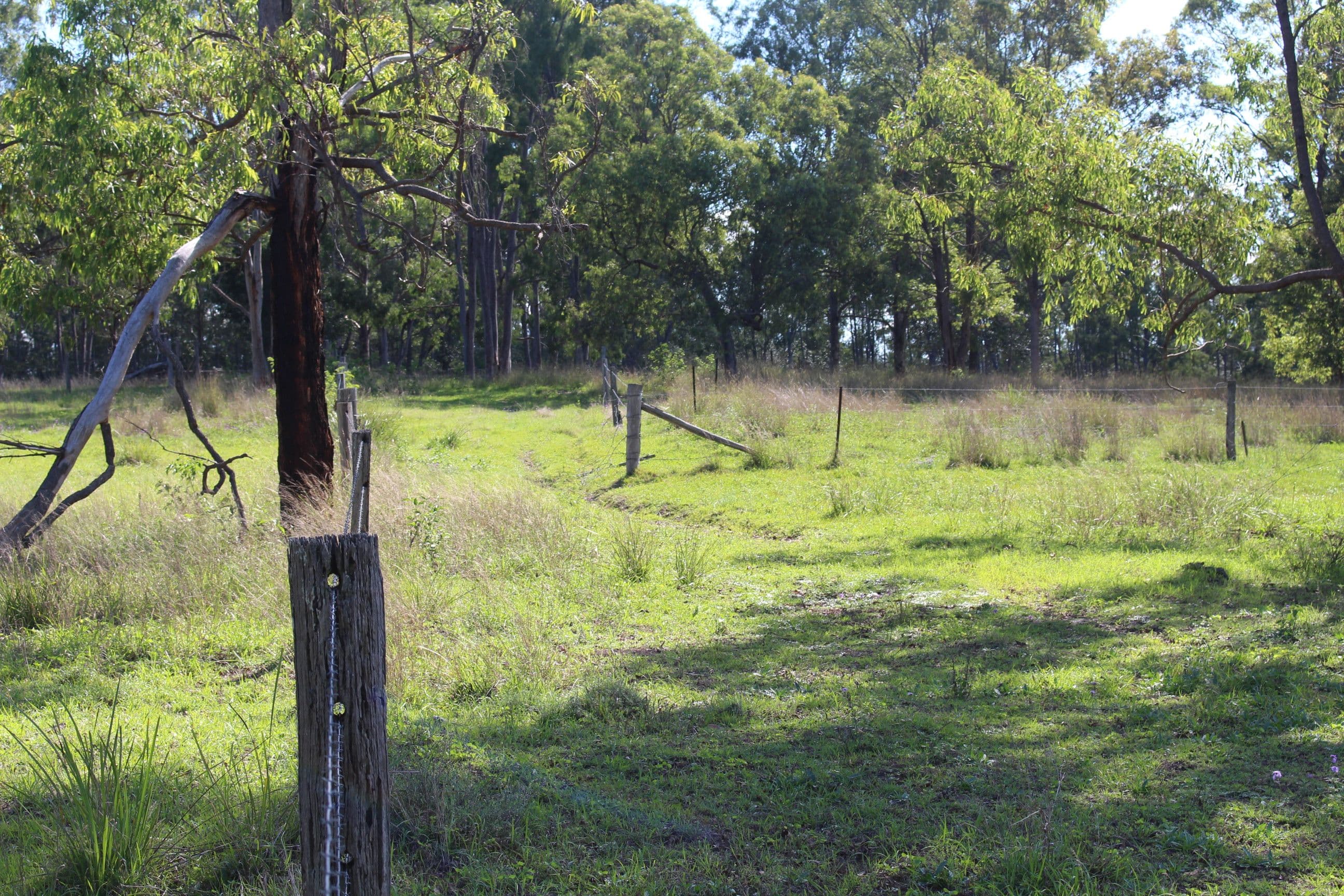 677 Goomeri West, Goomeri QLD 4601, Goomeri - Thumbnail 4
