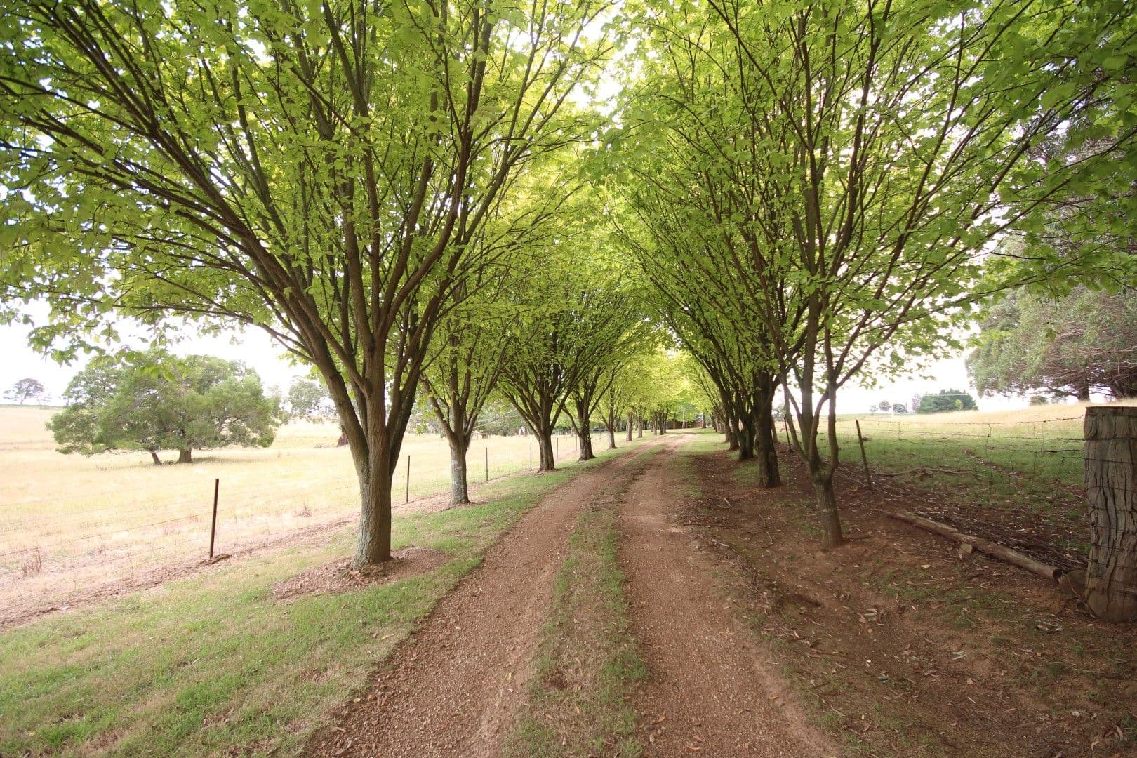 756 Mozart Road, Oberon NSW 2787, Oberon - Thumbnail 3