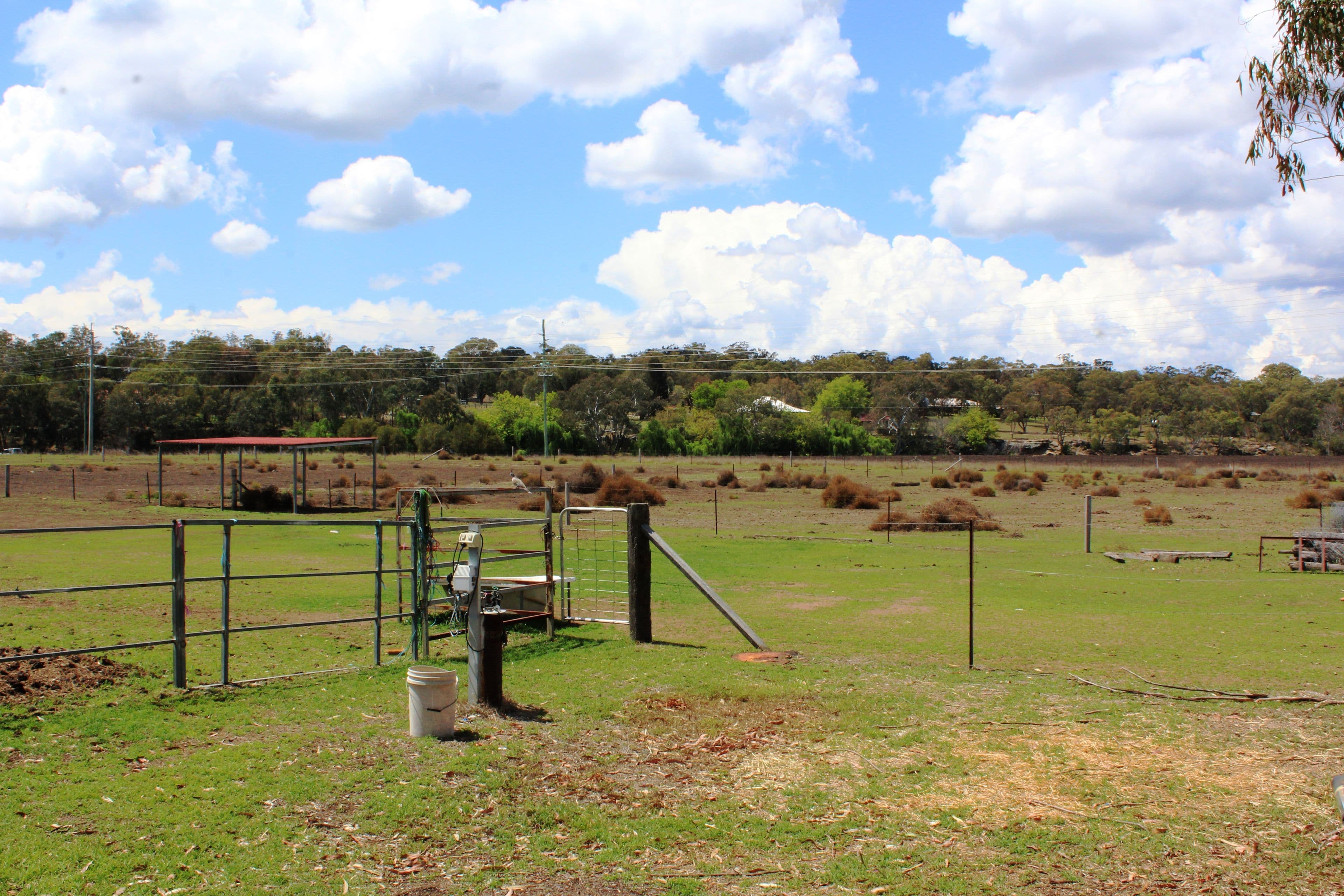 11 Fitzroy Street, Warwick QLD 4370, Warwick - Thumbnail 3