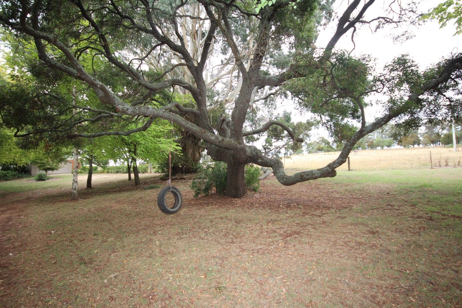 756 Mozart Road, Oberon NSW 2787, Oberon - Thumbnail 4