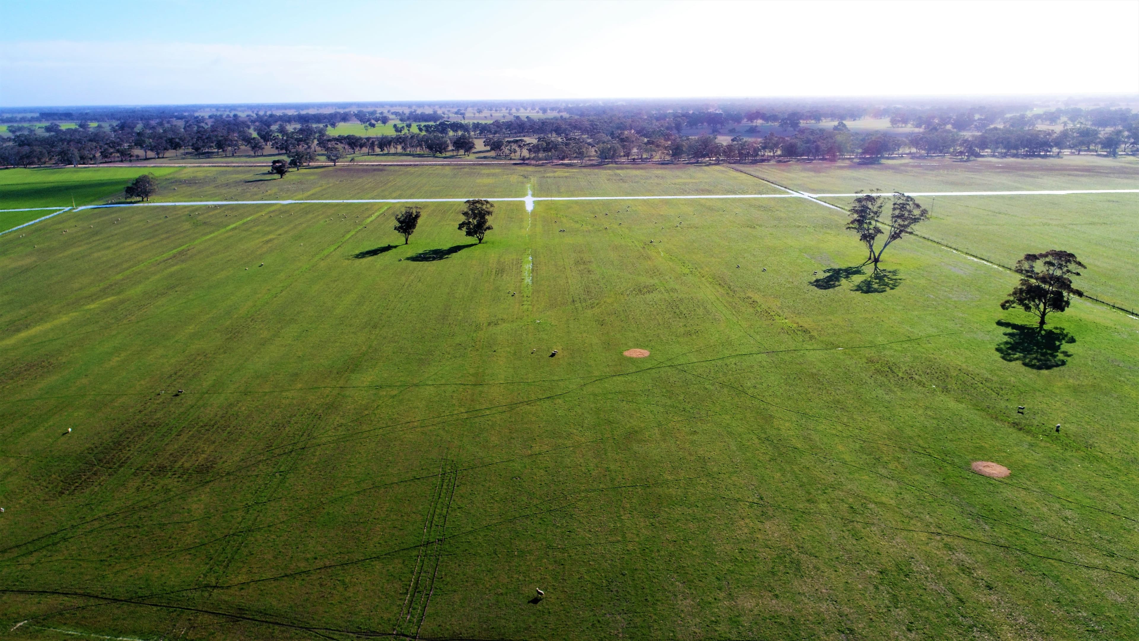 650 Cooper Road, BORDERTOWN SOUTH SA 5268, Bordertown South - Thumbnail 3