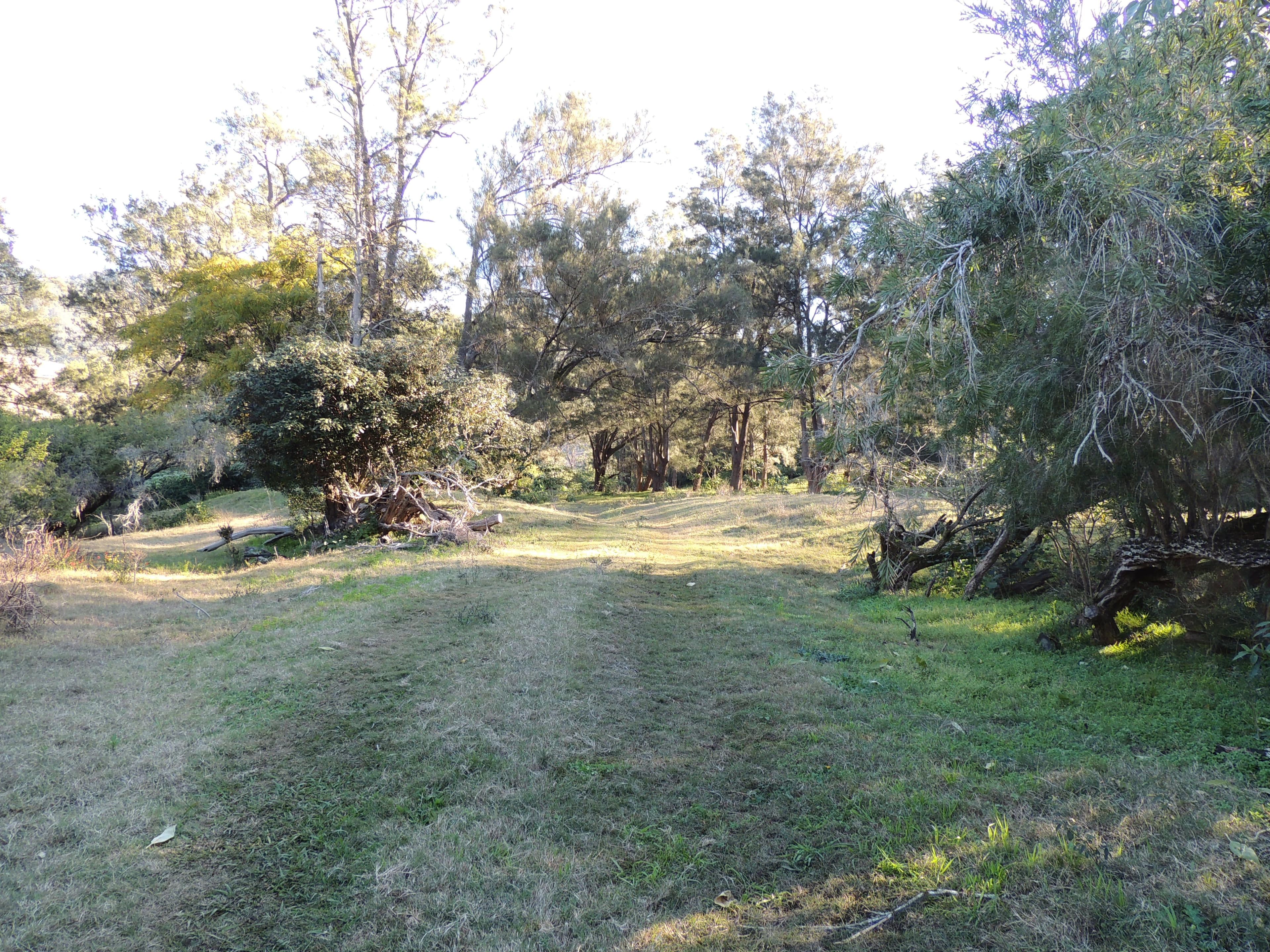 362 Cundle Flat Road, Gloucester NSW 2422, Gloucester - Thumbnail 8