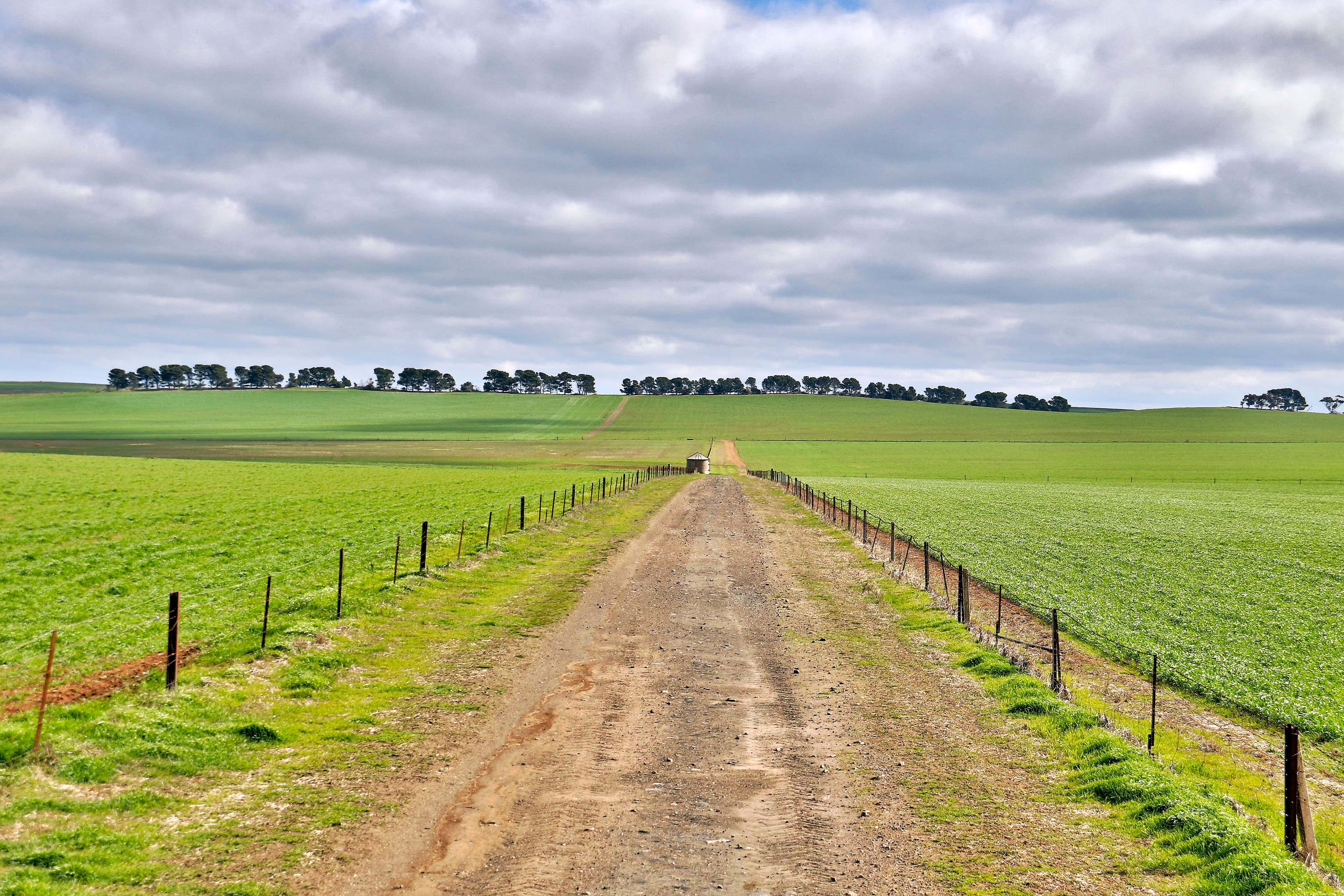 530 Julia Road, Hampden SA 5374, Hampden - Thumbnail 7