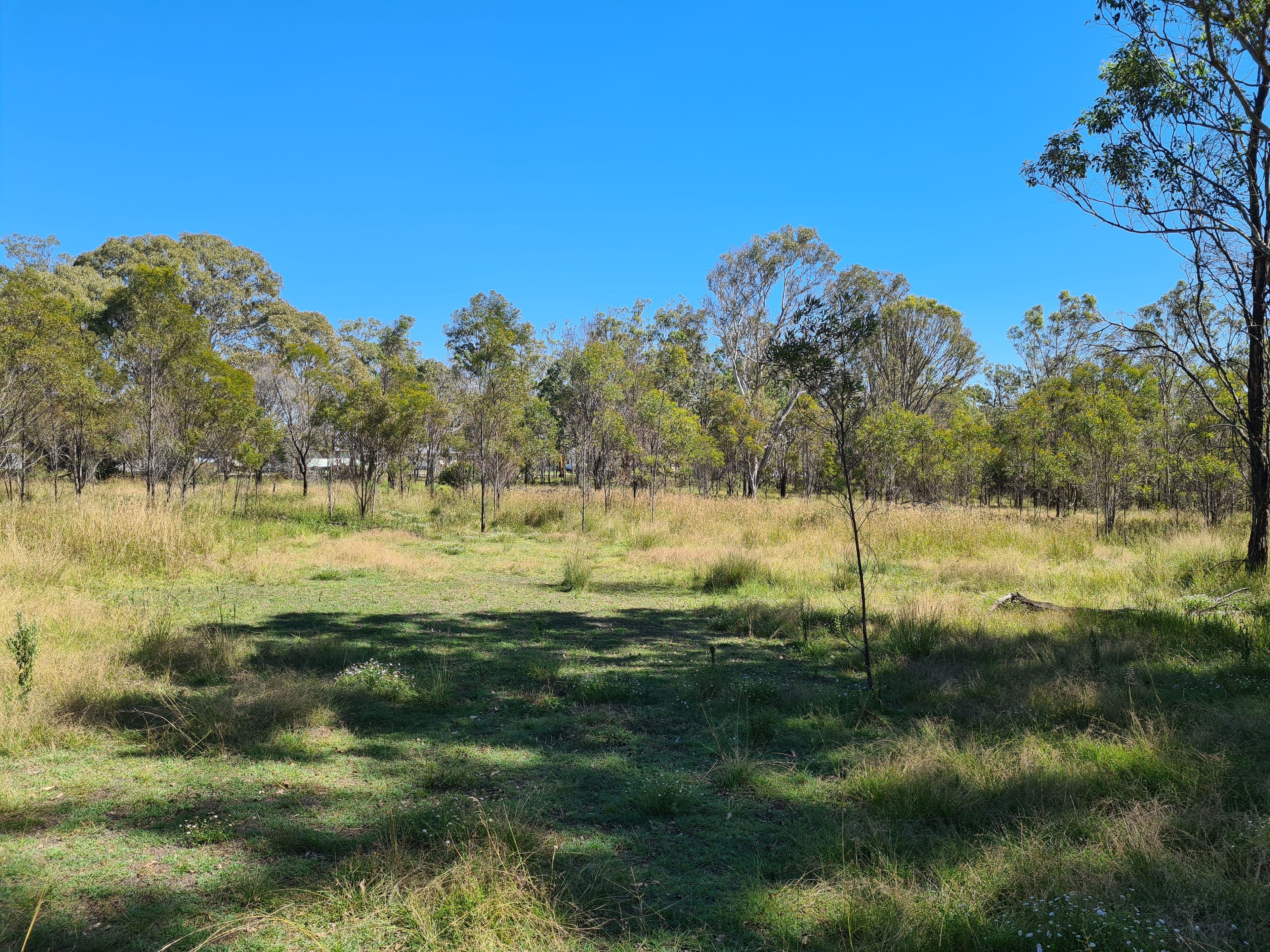 20 South Street, Crows Nest QLD 4355, Crows Nest - Image 1