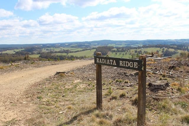 371 Horseshoe Bend Road, Edith NSW 2787, Edith - Image 1
