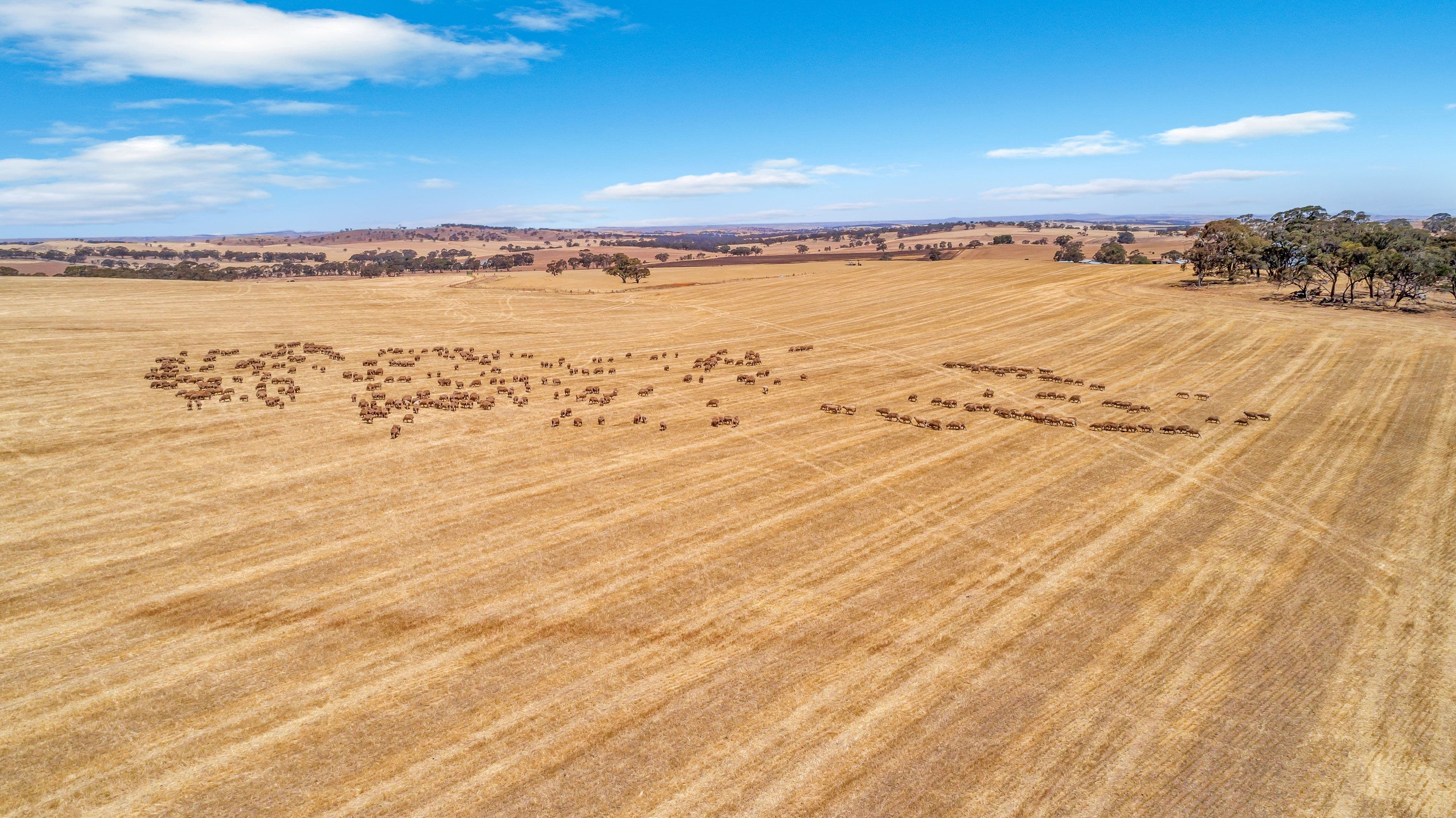'Roehrs' 249 Roehr Road, Tarnma SA 5413, Tarnma - Thumbnail 3